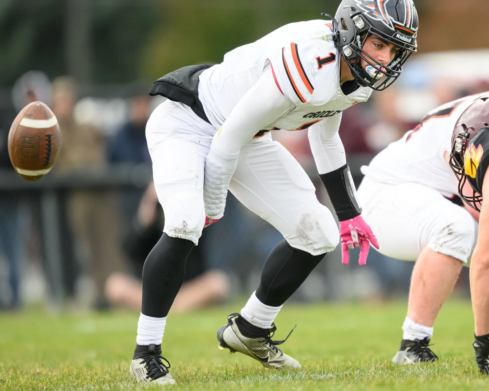 LOW RESOLUTION MORRICE DSF-16.jpg