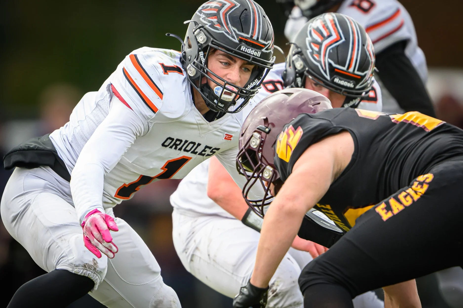 LOW RESOLUTION MORRICE DSF-17.jpg