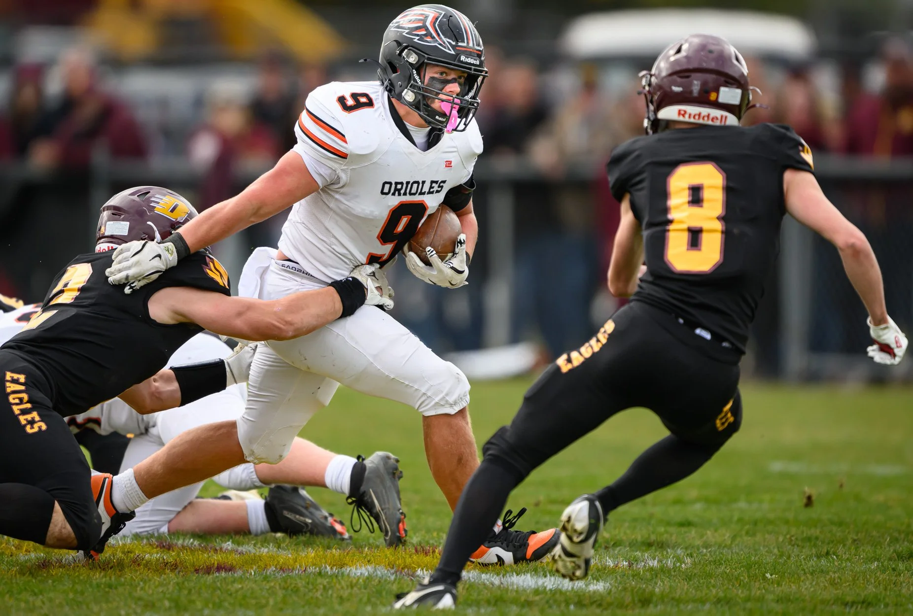 LOW RESOLUTION MORRICE DSF-18.jpg