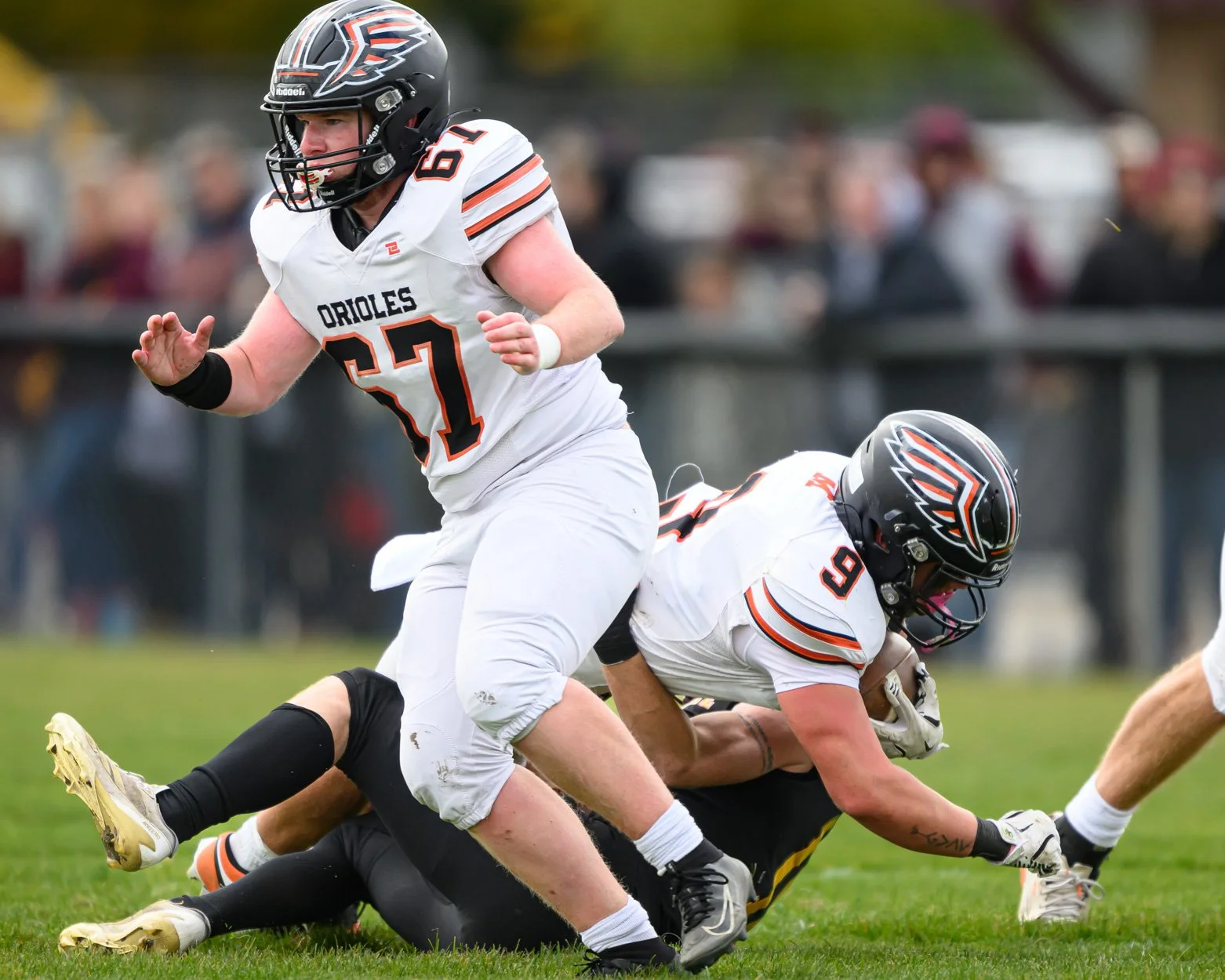 LOW RESOLUTION MORRICE DSF-21.jpg