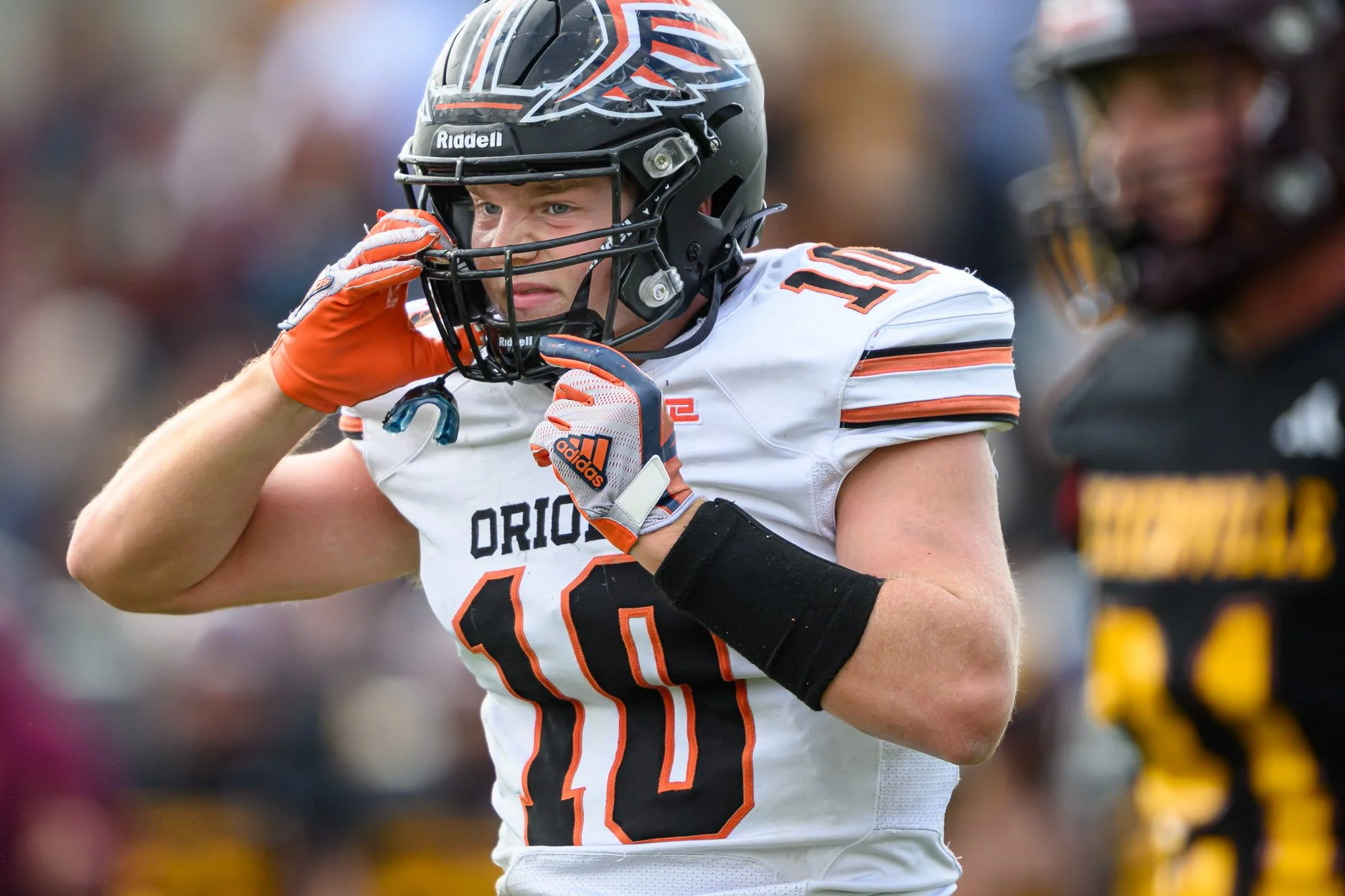 LOW RESOLUTION MORRICE DSF-25.jpg