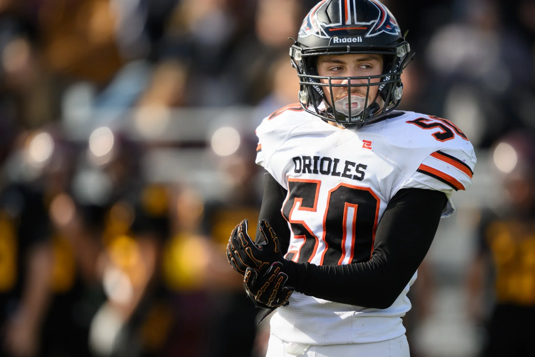 LOW RESOLUTION MORRICE DSF-31.jpg