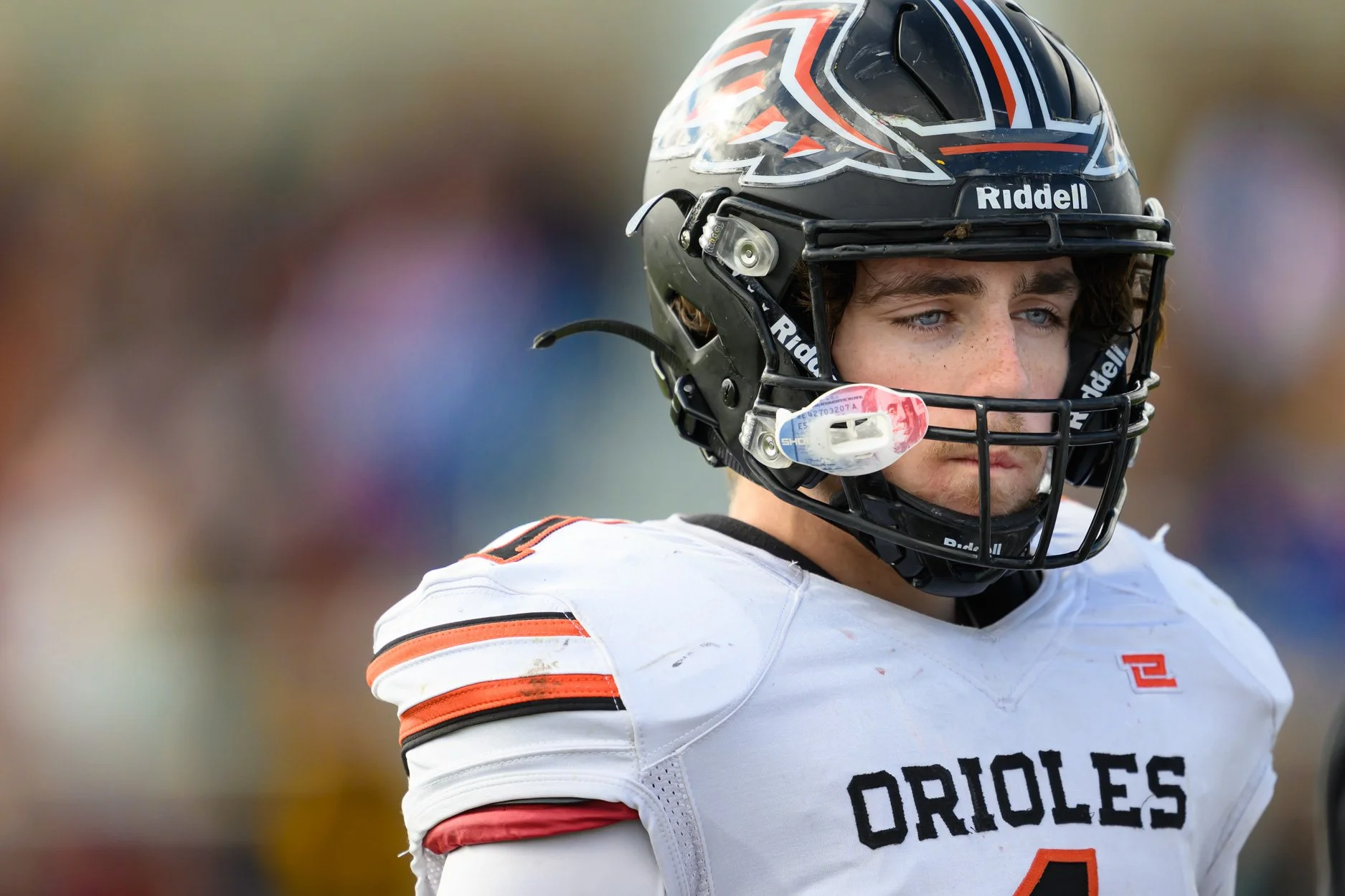 LOW RESOLUTION MORRICE DSF-33.jpg