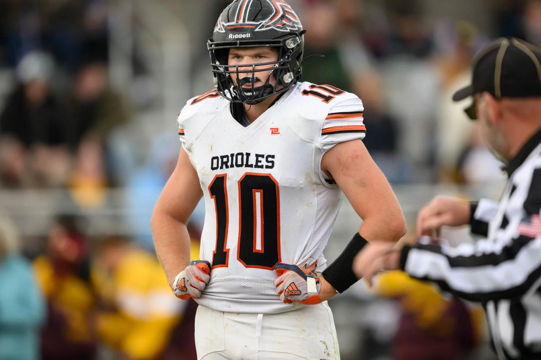 LOW RESOLUTION MORRICE DSF-40.jpg