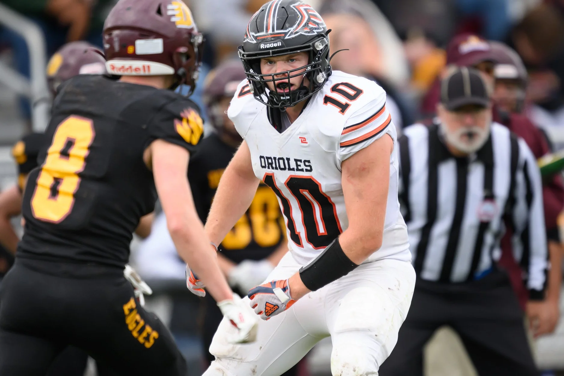 LOW RESOLUTION MORRICE DSF-42.jpg