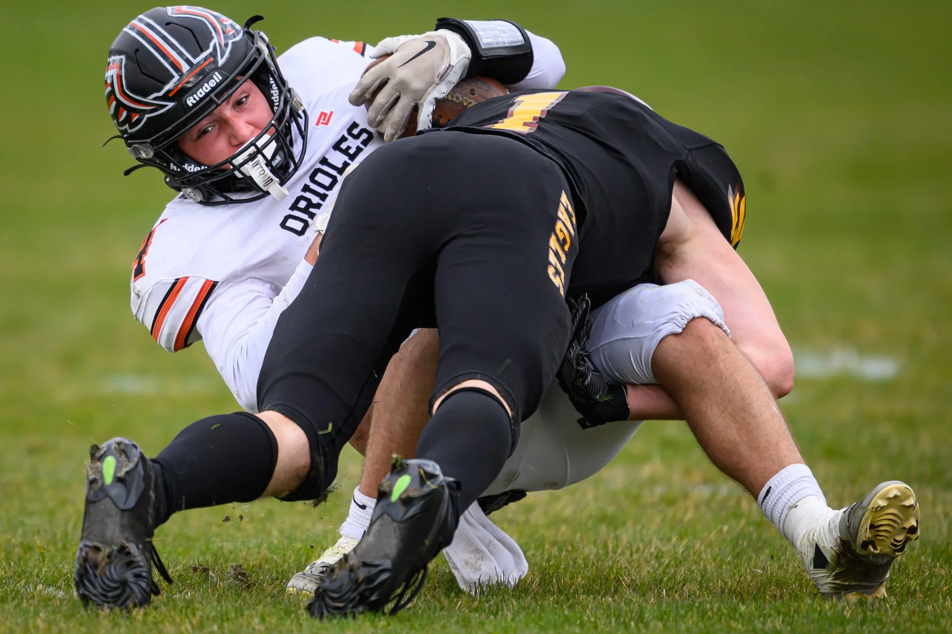 LOW RESOLUTION MORRICE DSF-45.jpg