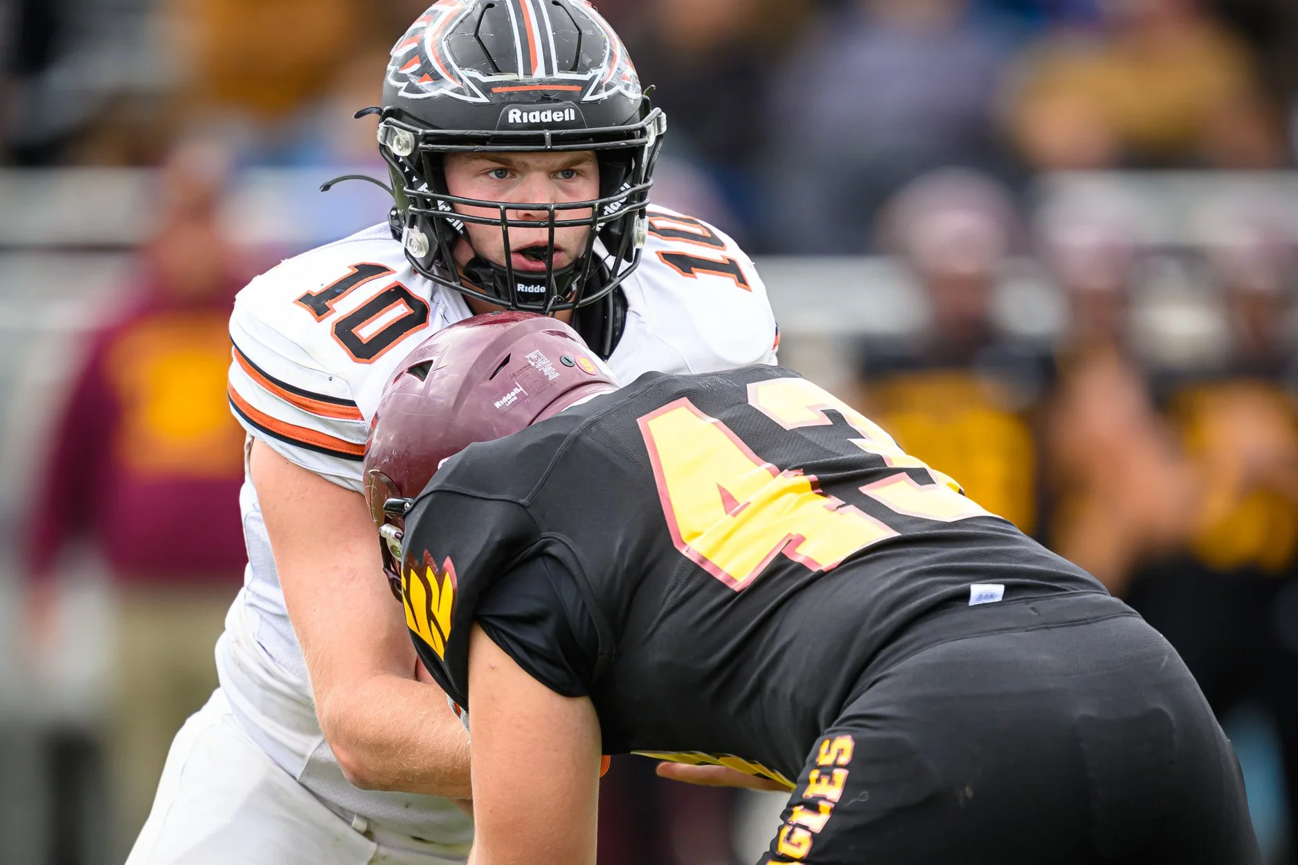 LOW RESOLUTION MORRICE DSF-60.jpg