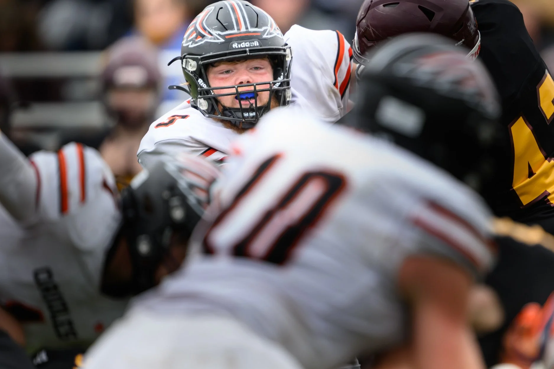 LOW RESOLUTION MORRICE DSF-63.jpg