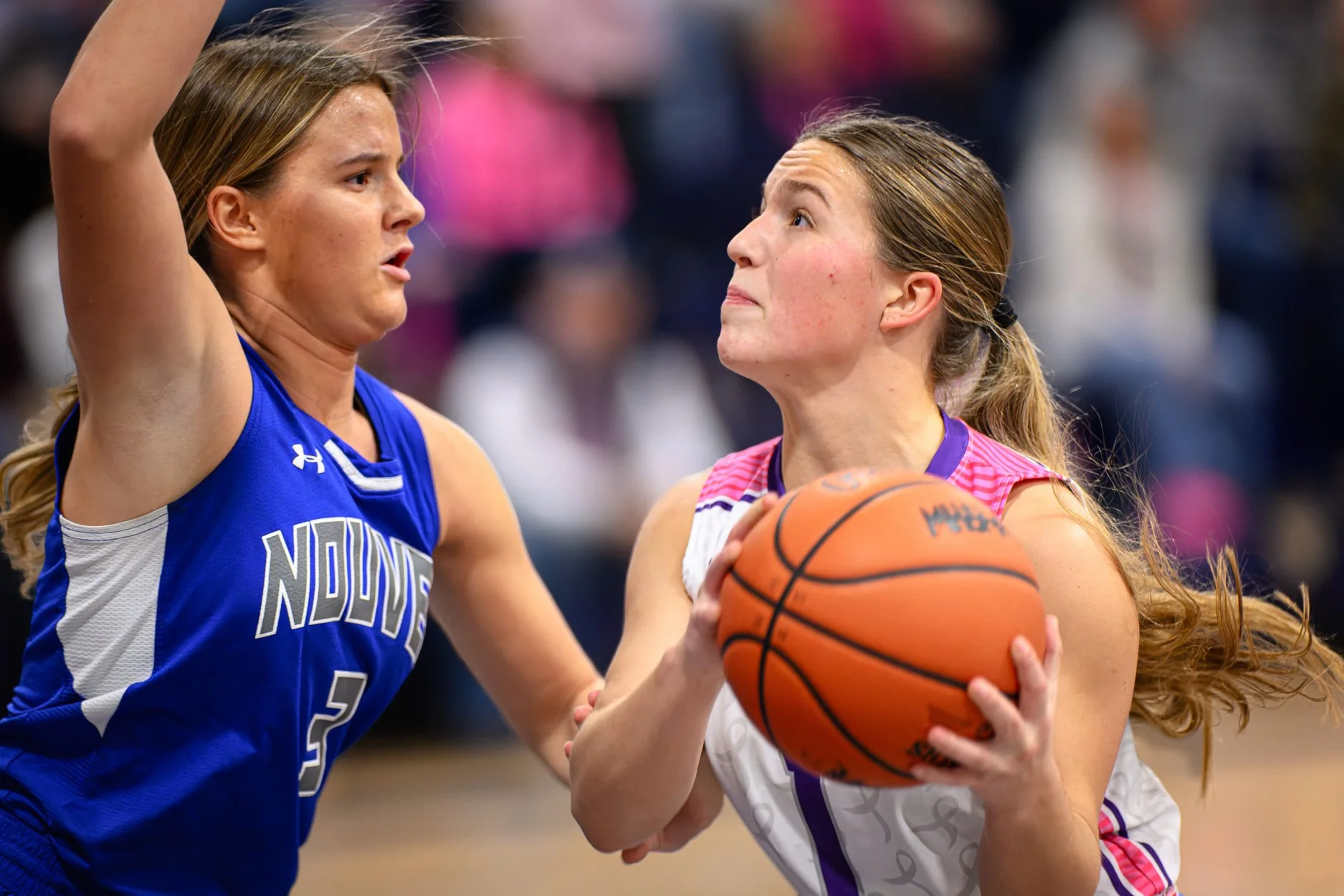 LOW RESOLUTION CONGER-10.jpg