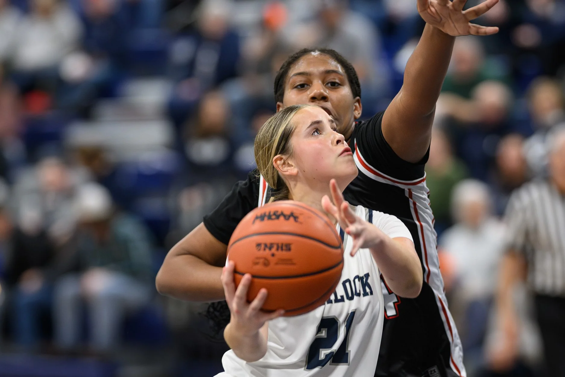 LOW RES VH 1000-2.jpg