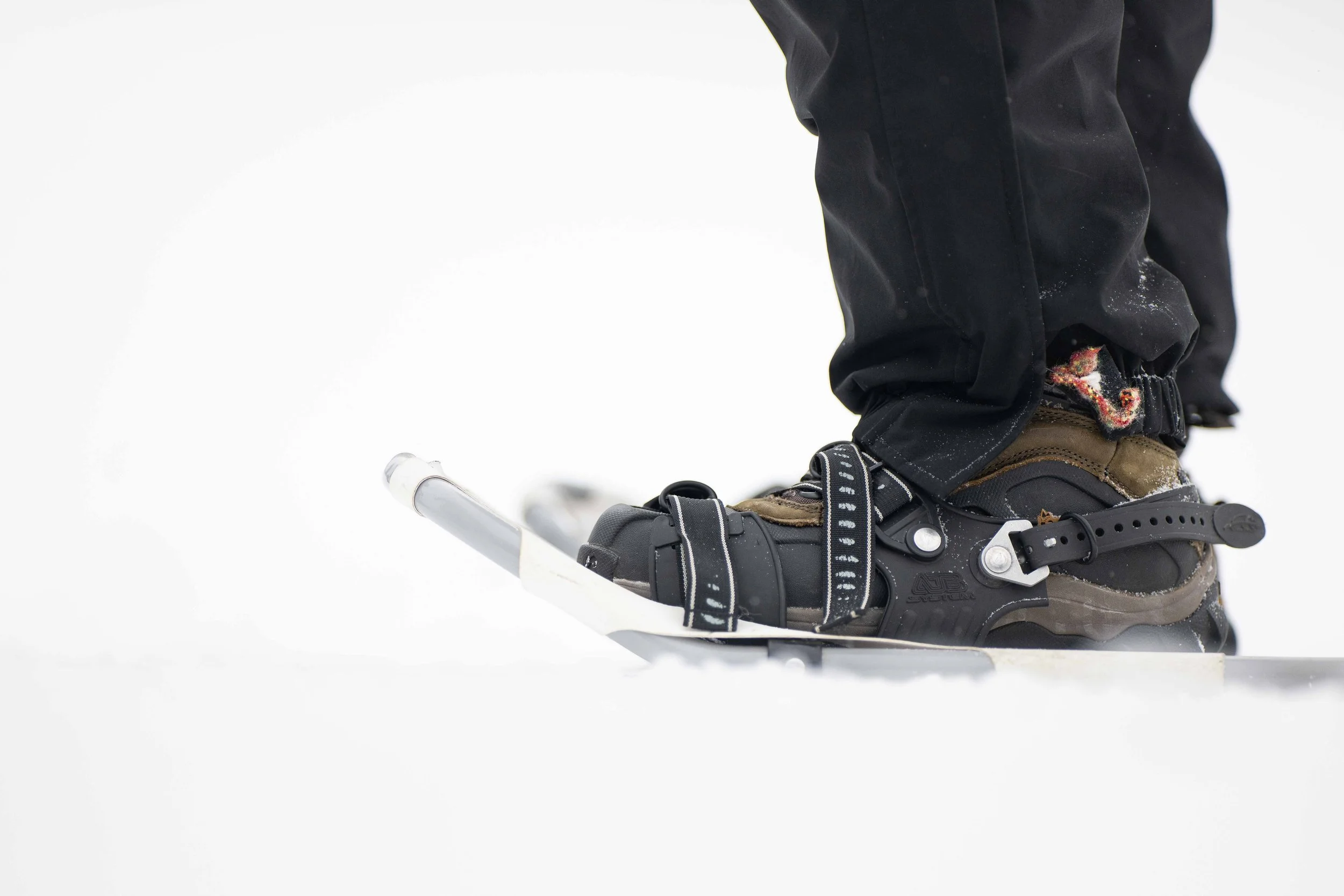 WEB RES SOMI WH 26-63.jpg