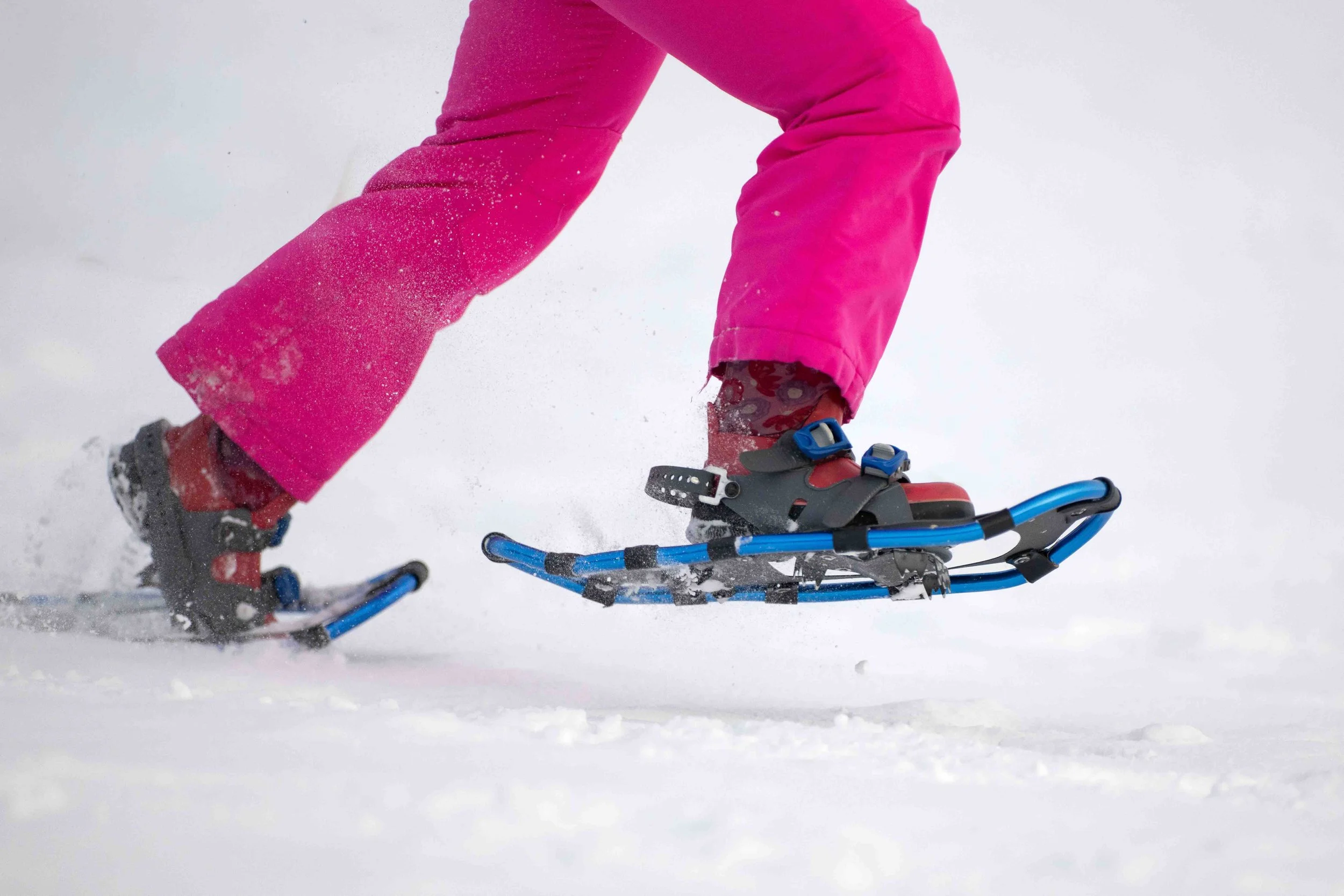 web res Day 2 SOMI WG 26-6.jpg