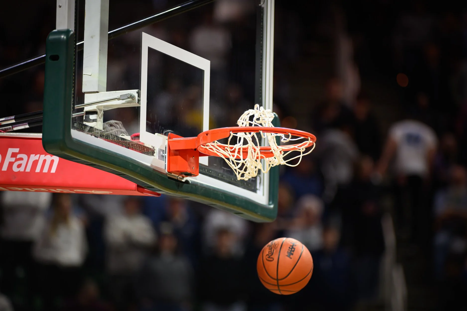 LOW RES FREELAND FINAL 2026-14.jpg