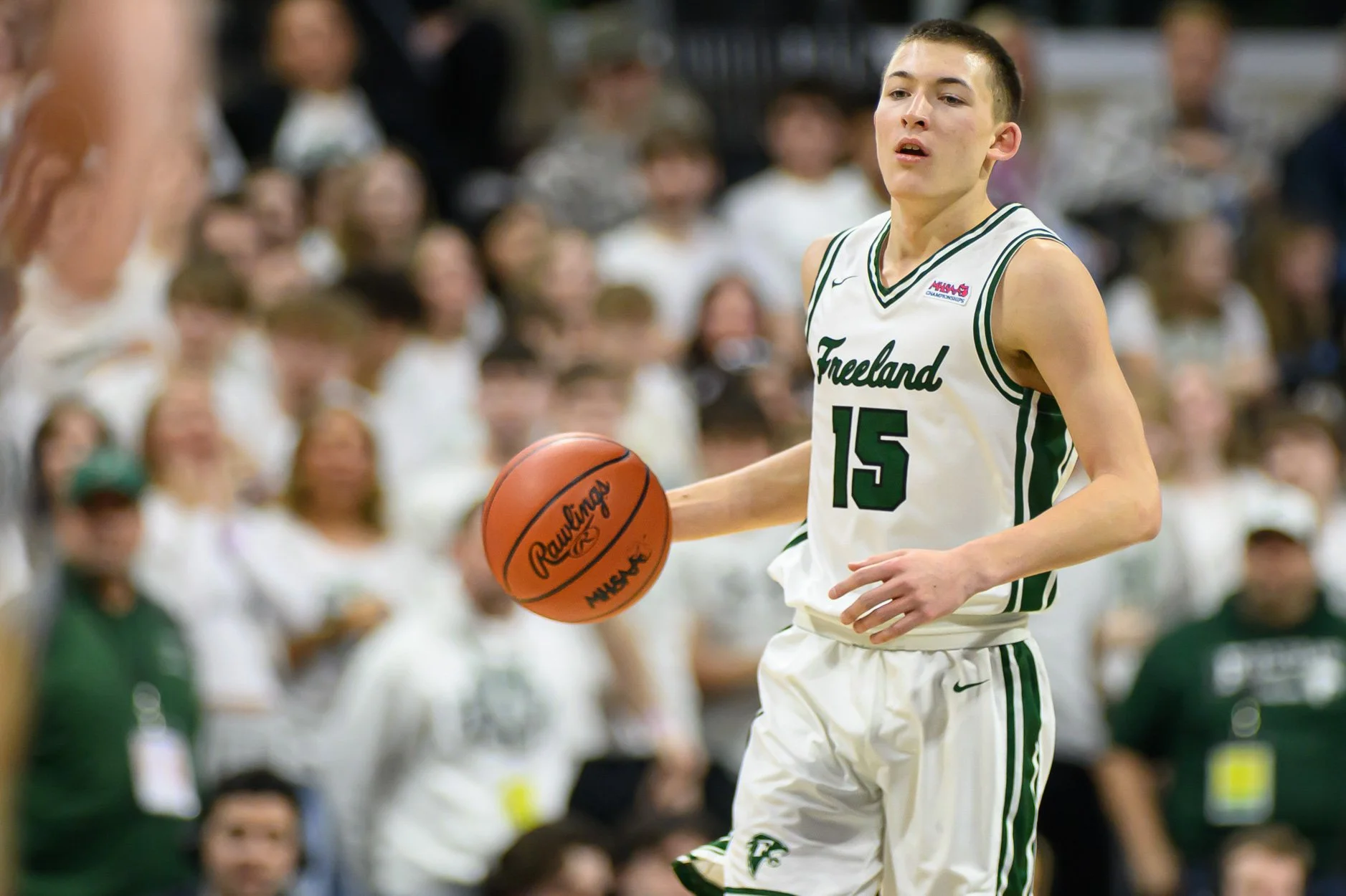 LOW RES FREELAND FINAL 2026-22.jpg