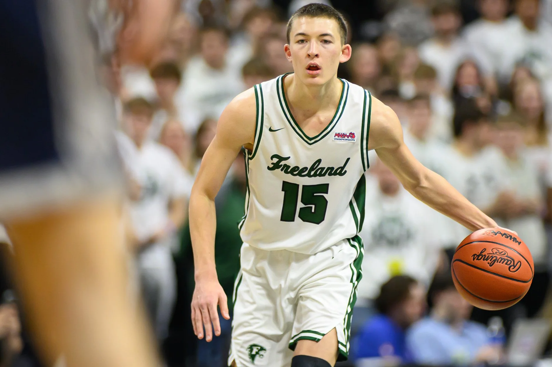 LOW RES FREELAND FINAL 2026-23.jpg