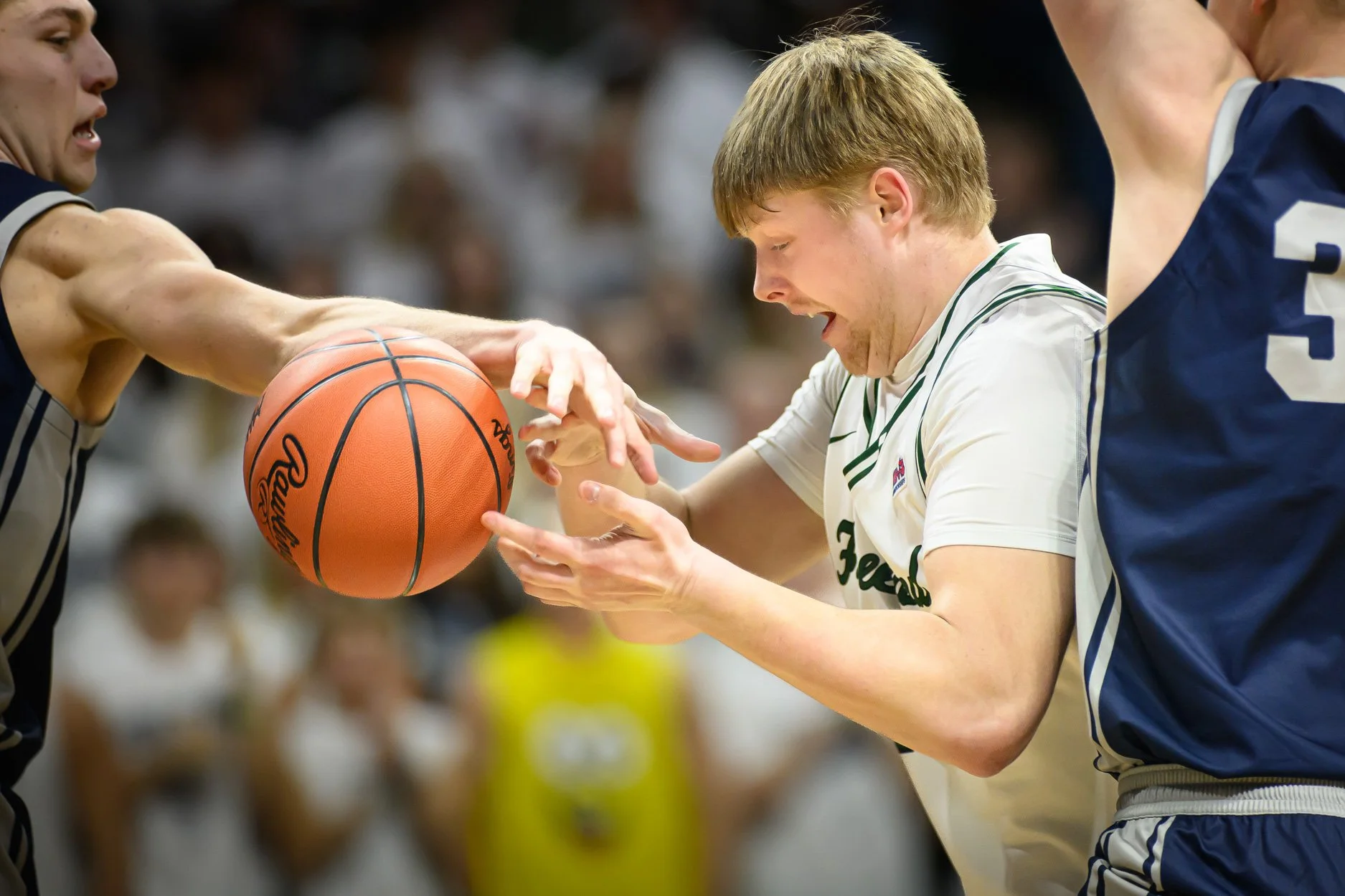 LOW RES FREELAND FINAL 2026-24.jpg