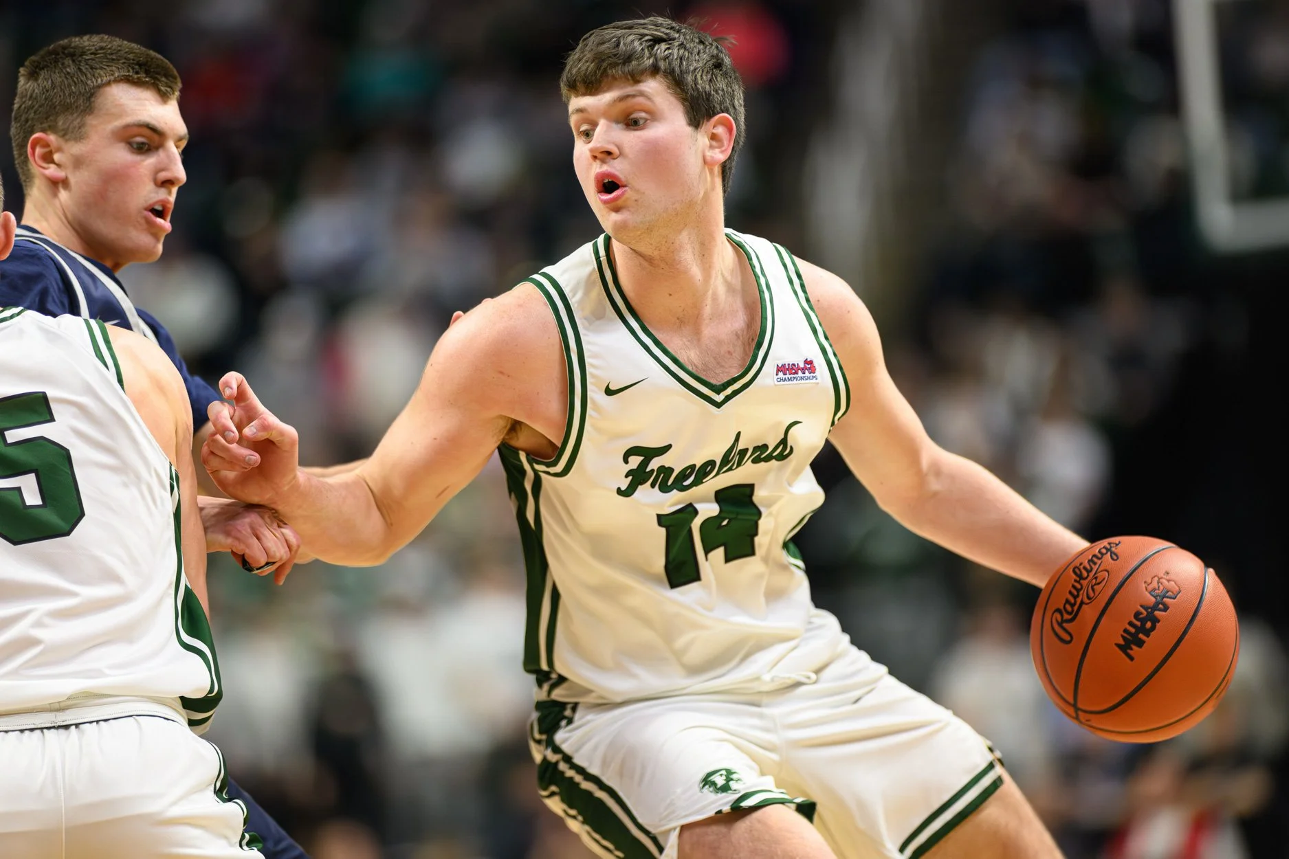 LOW RES FREELAND FINAL 2026-26.jpg