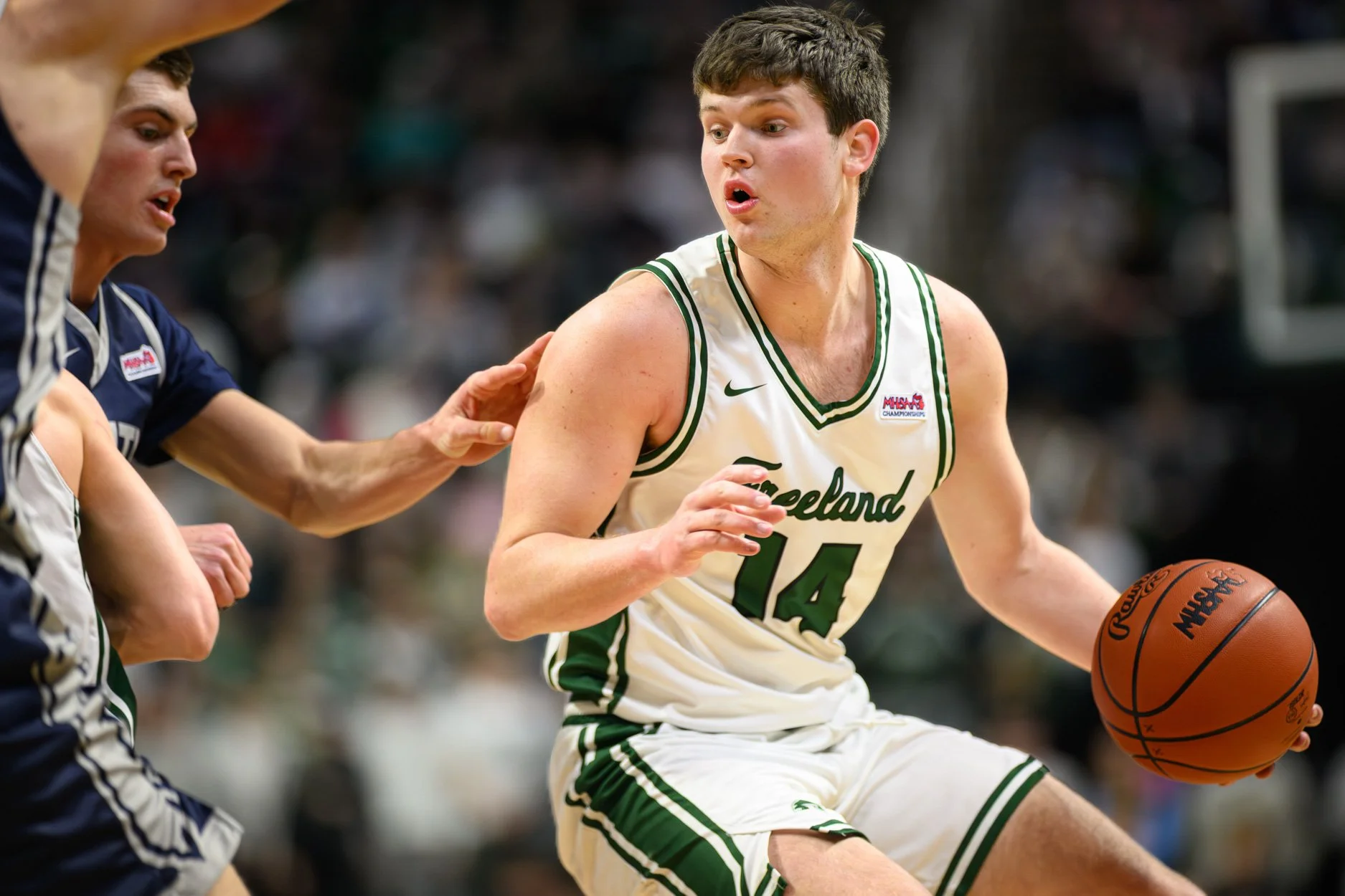 LOW RES FREELAND FINAL 2026-27.jpg