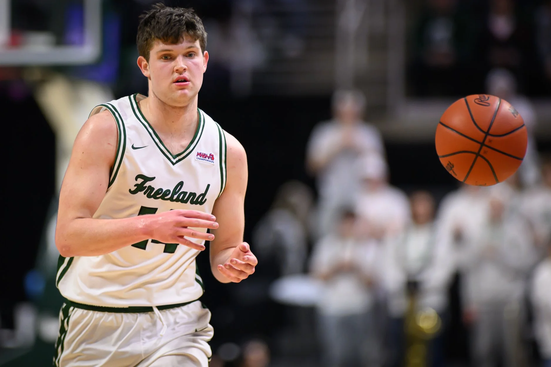 LOW RES FREELAND FINAL 2026-28.jpg