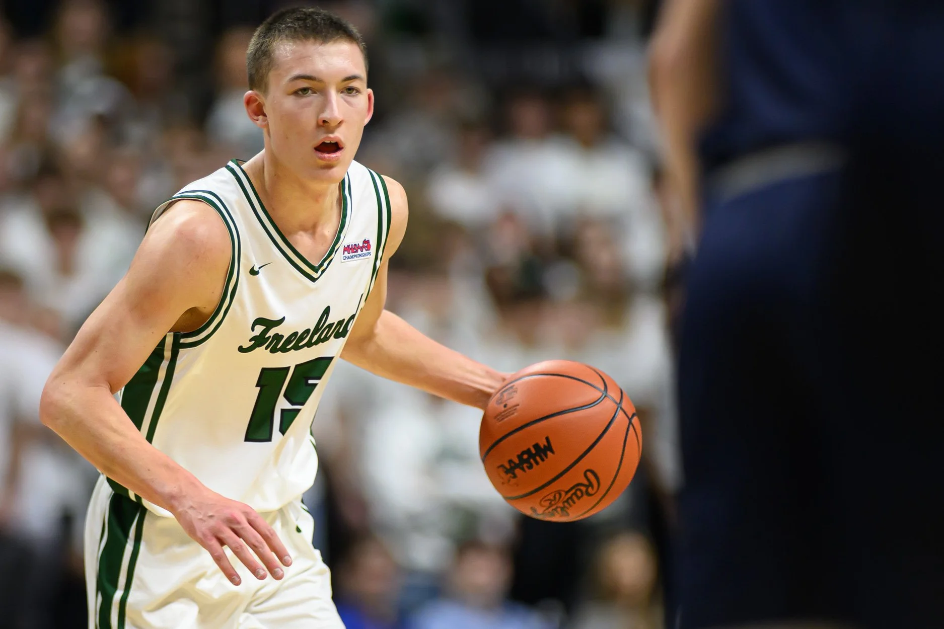 LOW RES FREELAND FINAL 2026-29.jpg