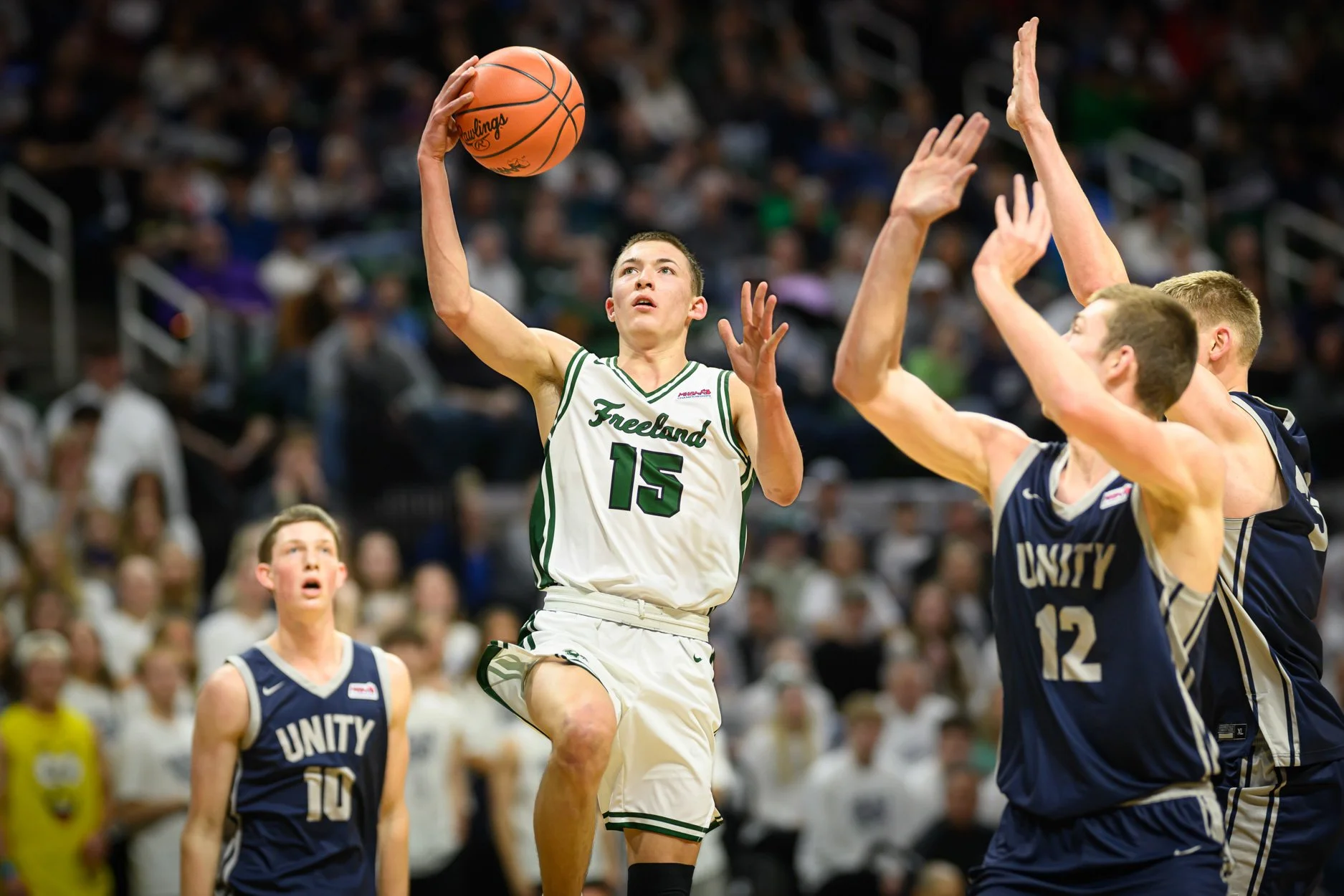 LOW RES FREELAND FINAL 2026-30.jpg