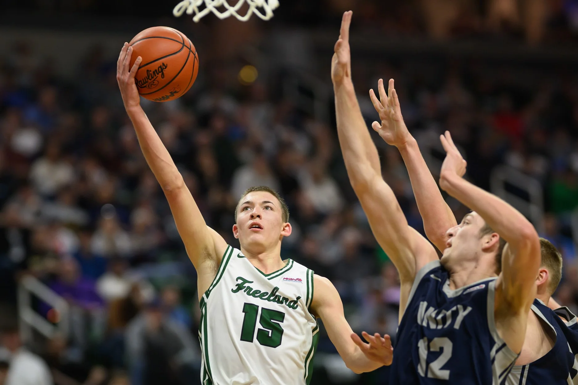 LOW RES FREELAND FINAL 2026-31.jpg