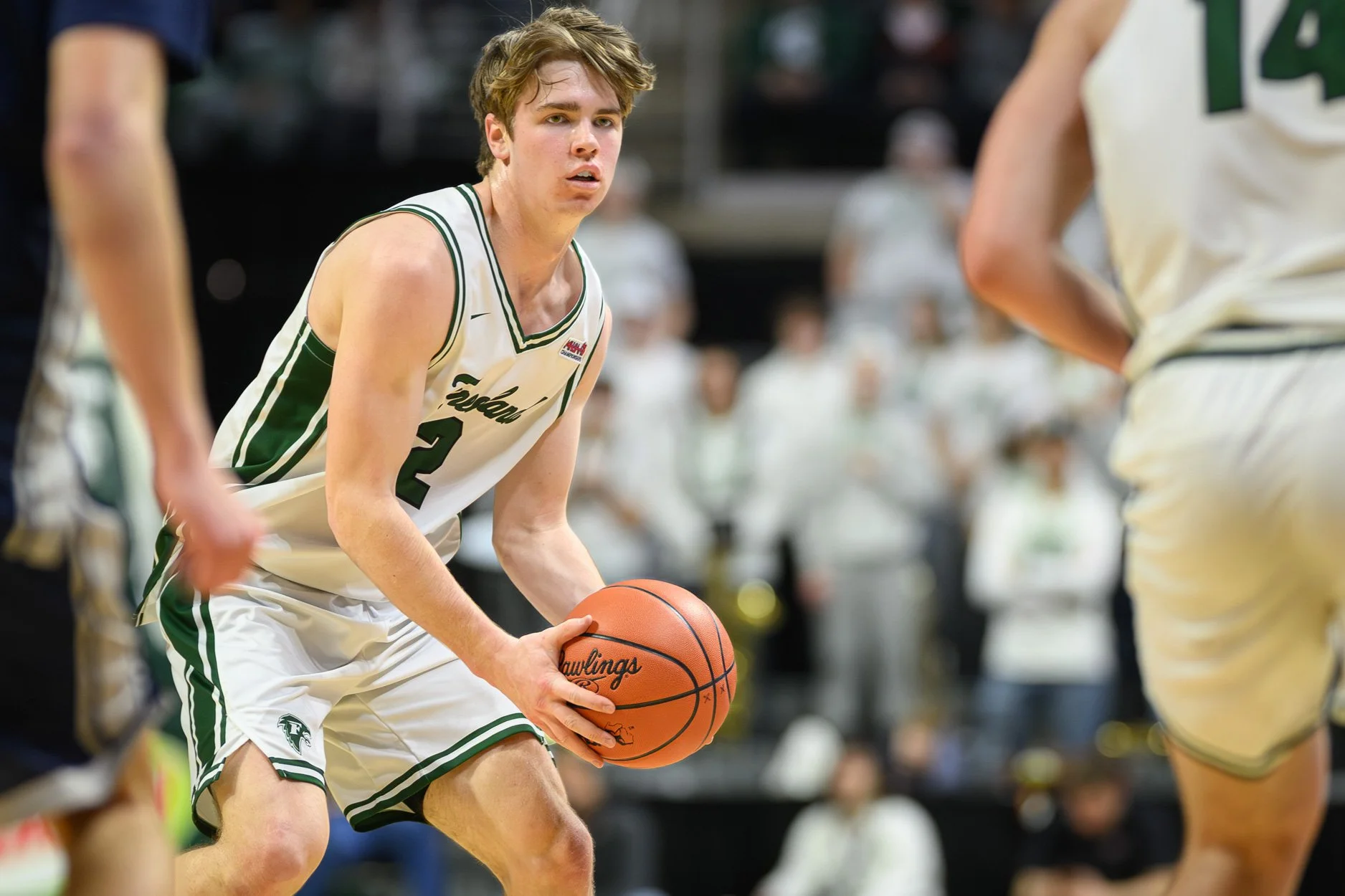 LOW RES FREELAND FINAL 2026-32.jpg