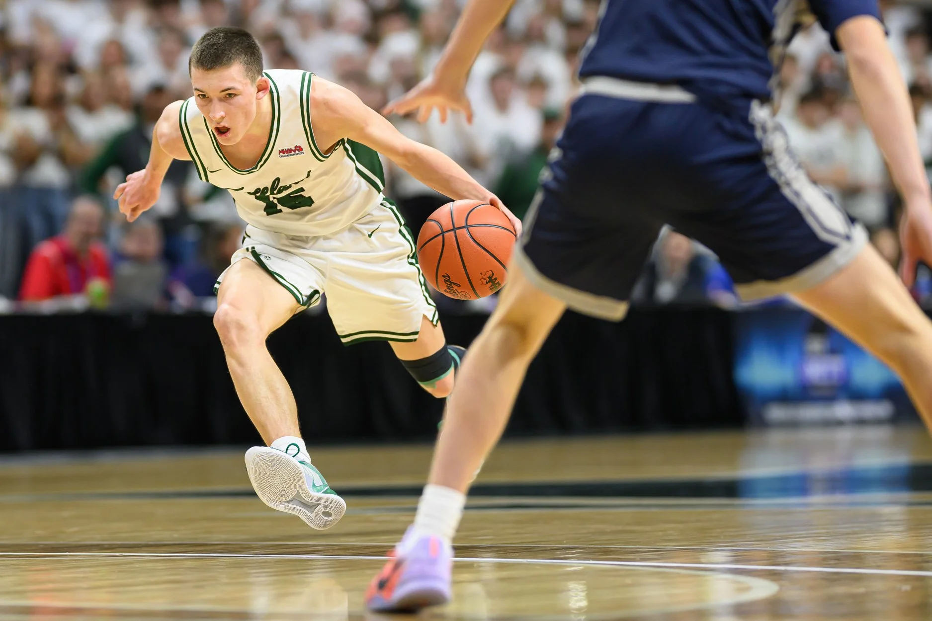 LOW RES FREELAND FINAL 2026-34.jpg