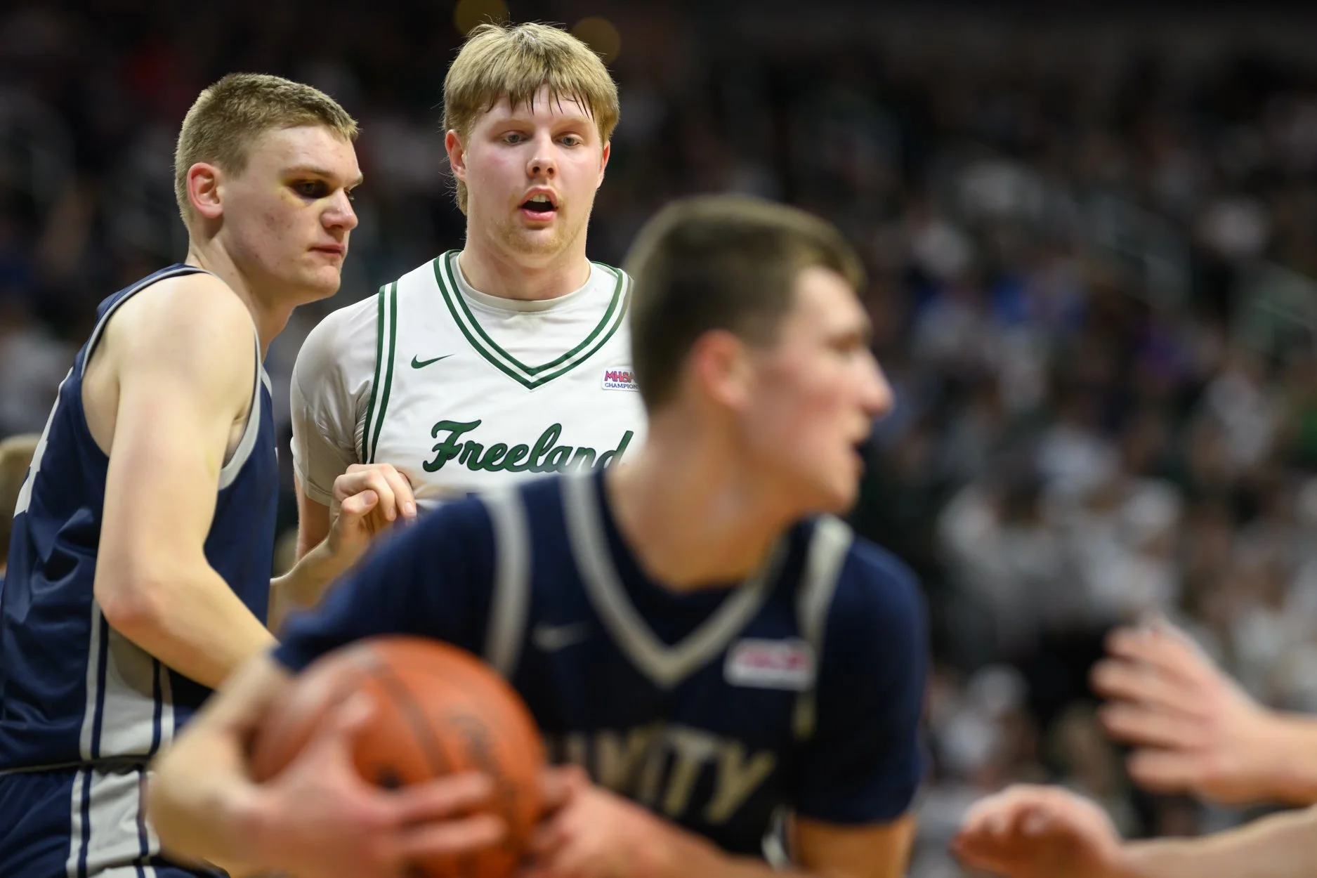 LOW RES FREELAND FINAL 2026-35.jpg