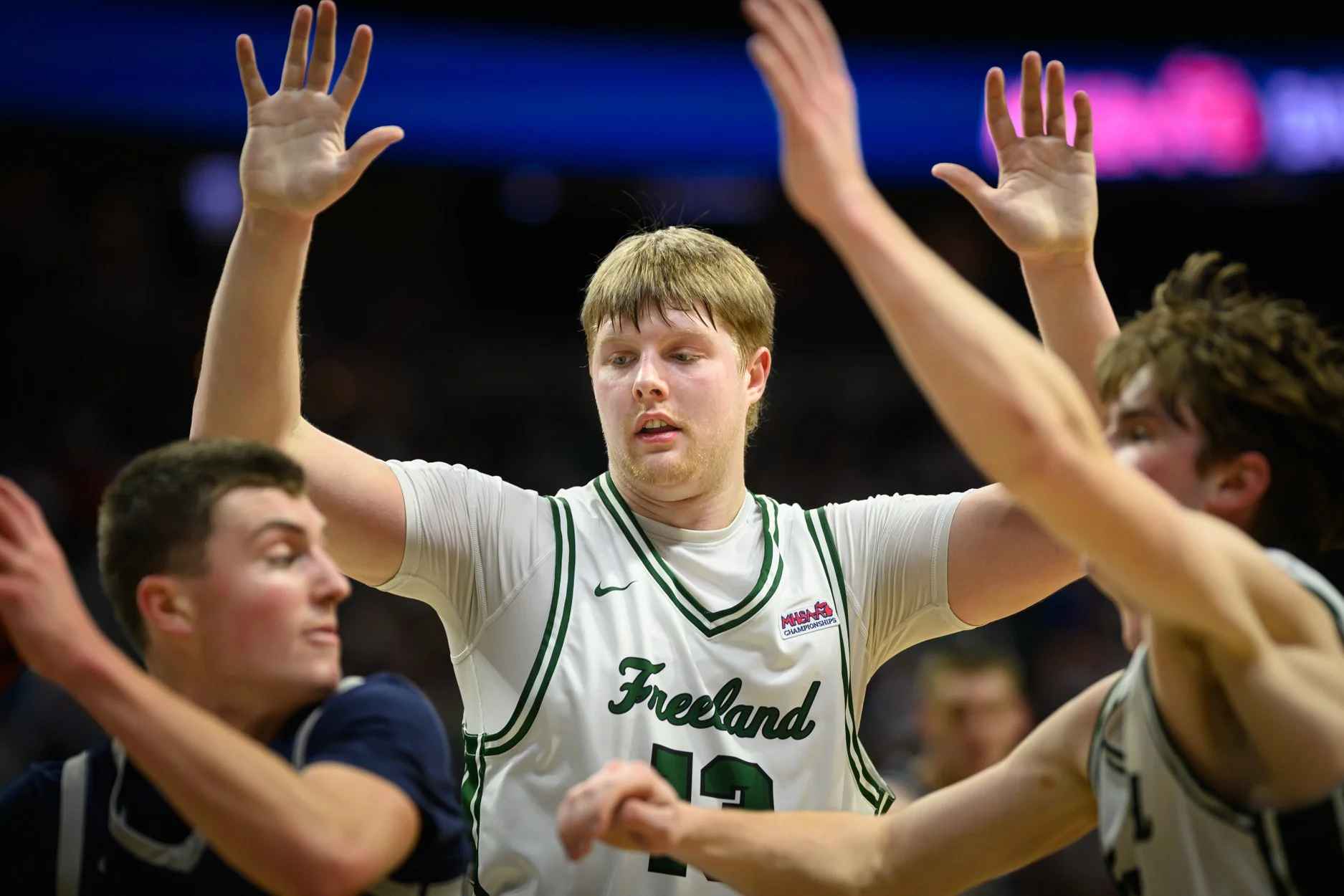 LOW RES FREELAND FINAL 2026-36.jpg