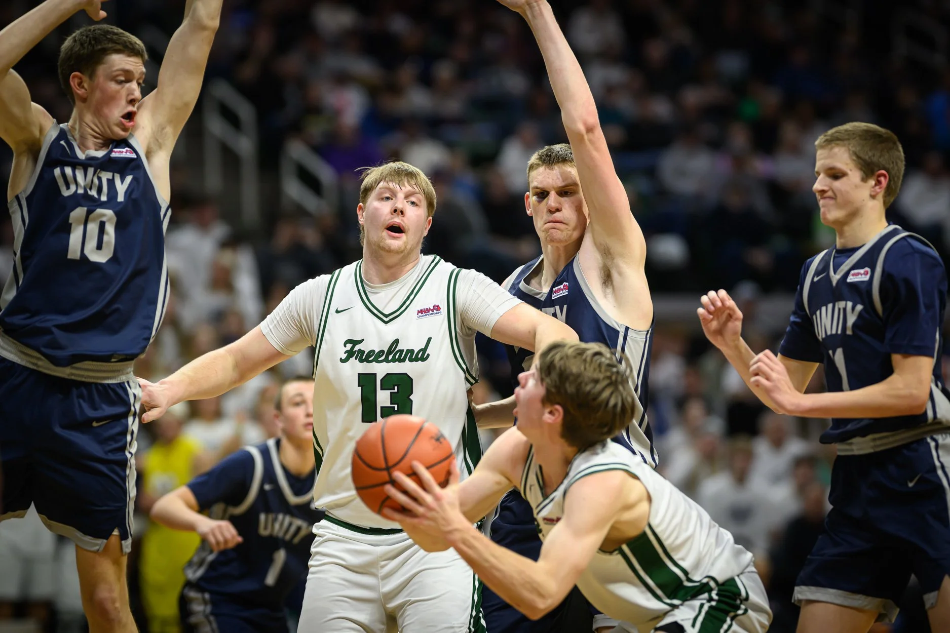 LOW RES FREELAND FINAL 2026-38.jpg