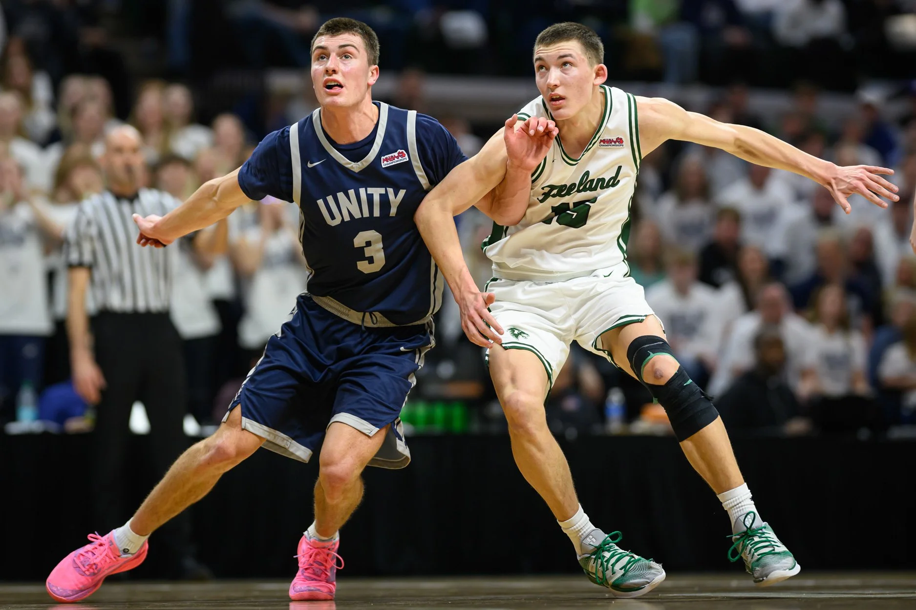 LOW RES FREELAND FINAL 2026-40.jpg