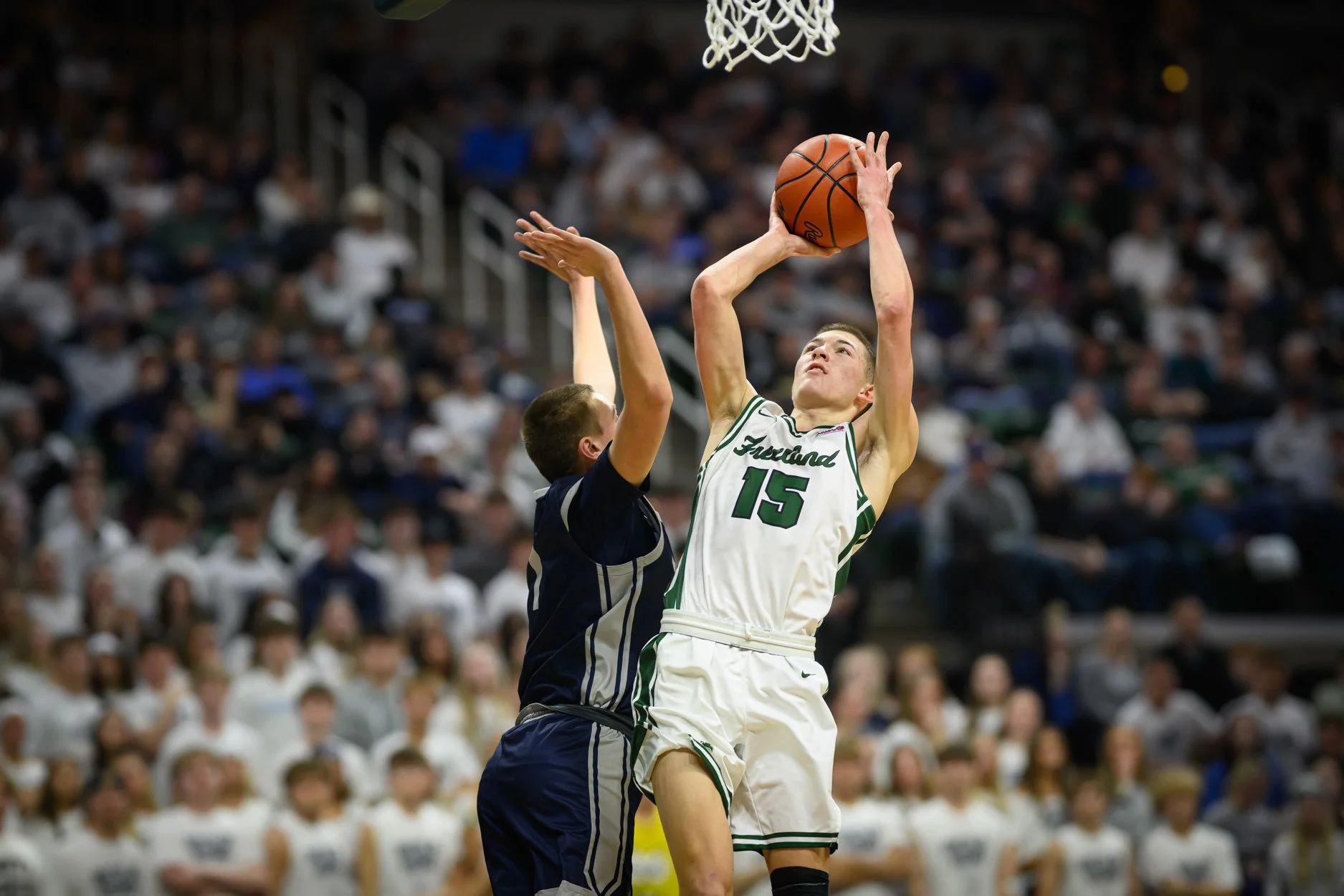 LOW RES FREELAND FINAL 2026-42.jpg