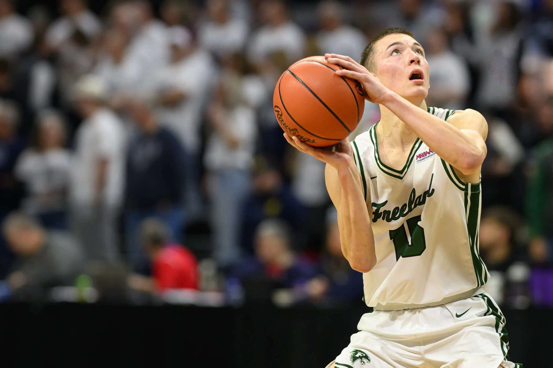 LOW RES FREELAND FINAL 2026-55.jpg