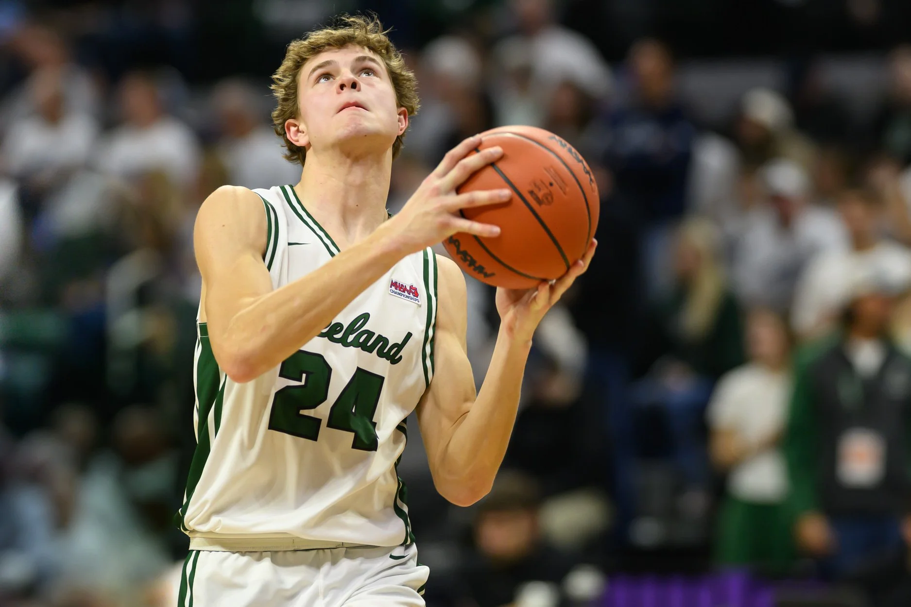 LOW RES FREELAND FINAL 2026-57.jpg