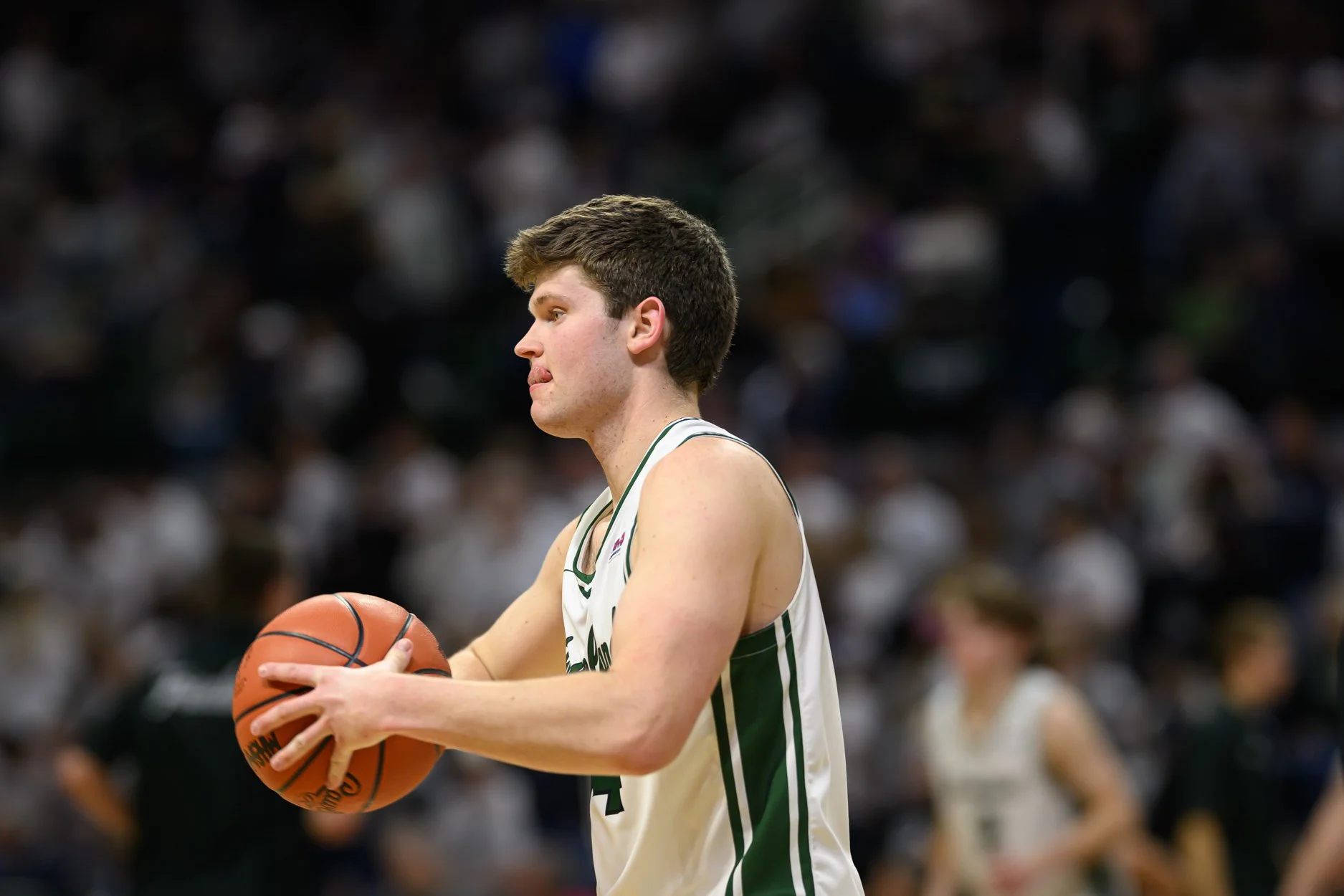 LOW RES FREELAND FINAL 2026-58.jpg