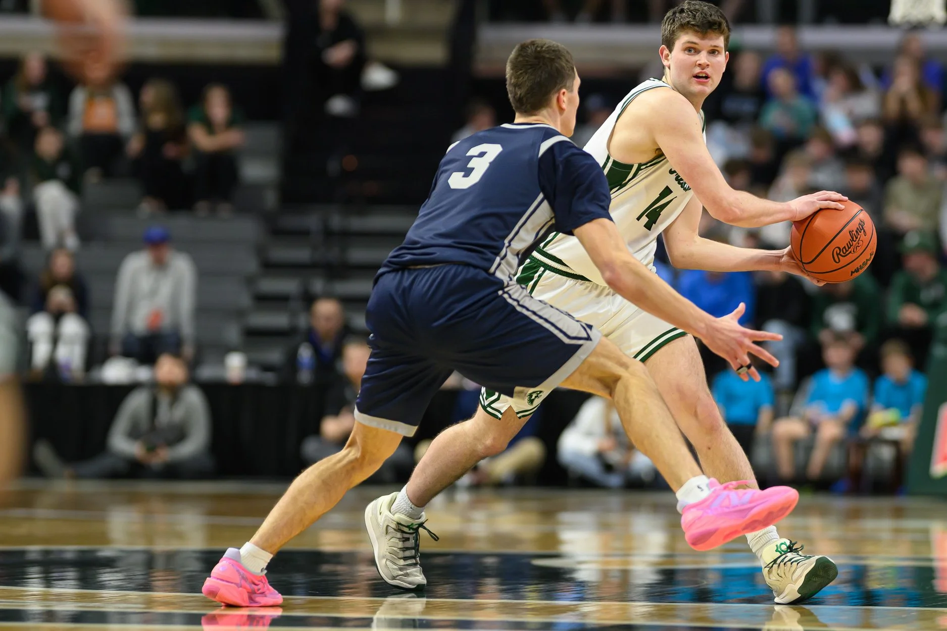 LOW RES FREELAND FINAL 2026-63.jpg