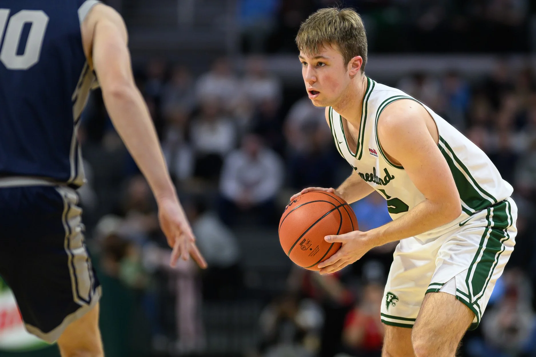 LOW RES FREELAND FINAL 2026-64.jpg