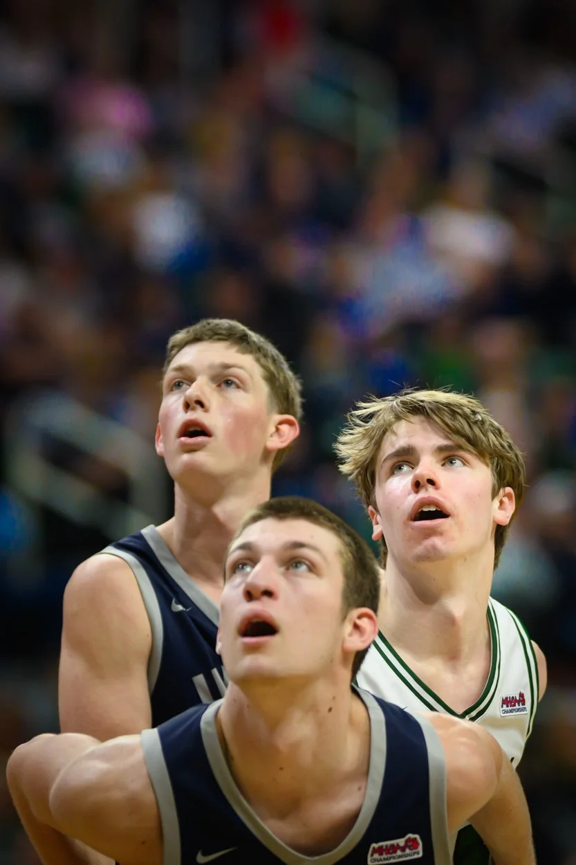 2 LOW RES FREELAND FINAL-3.jpg