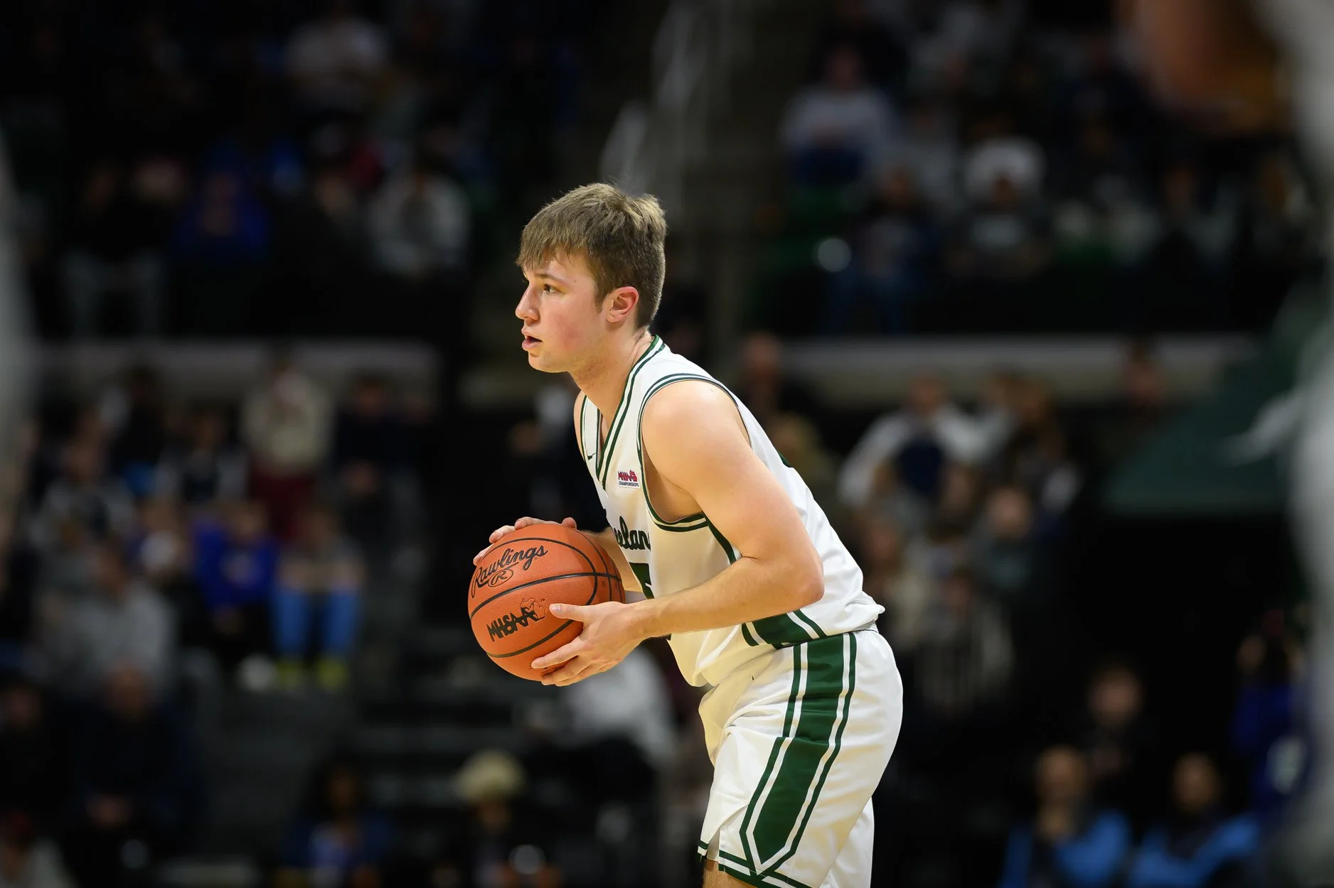 2 LOW RES FREELAND FINAL-4.jpg