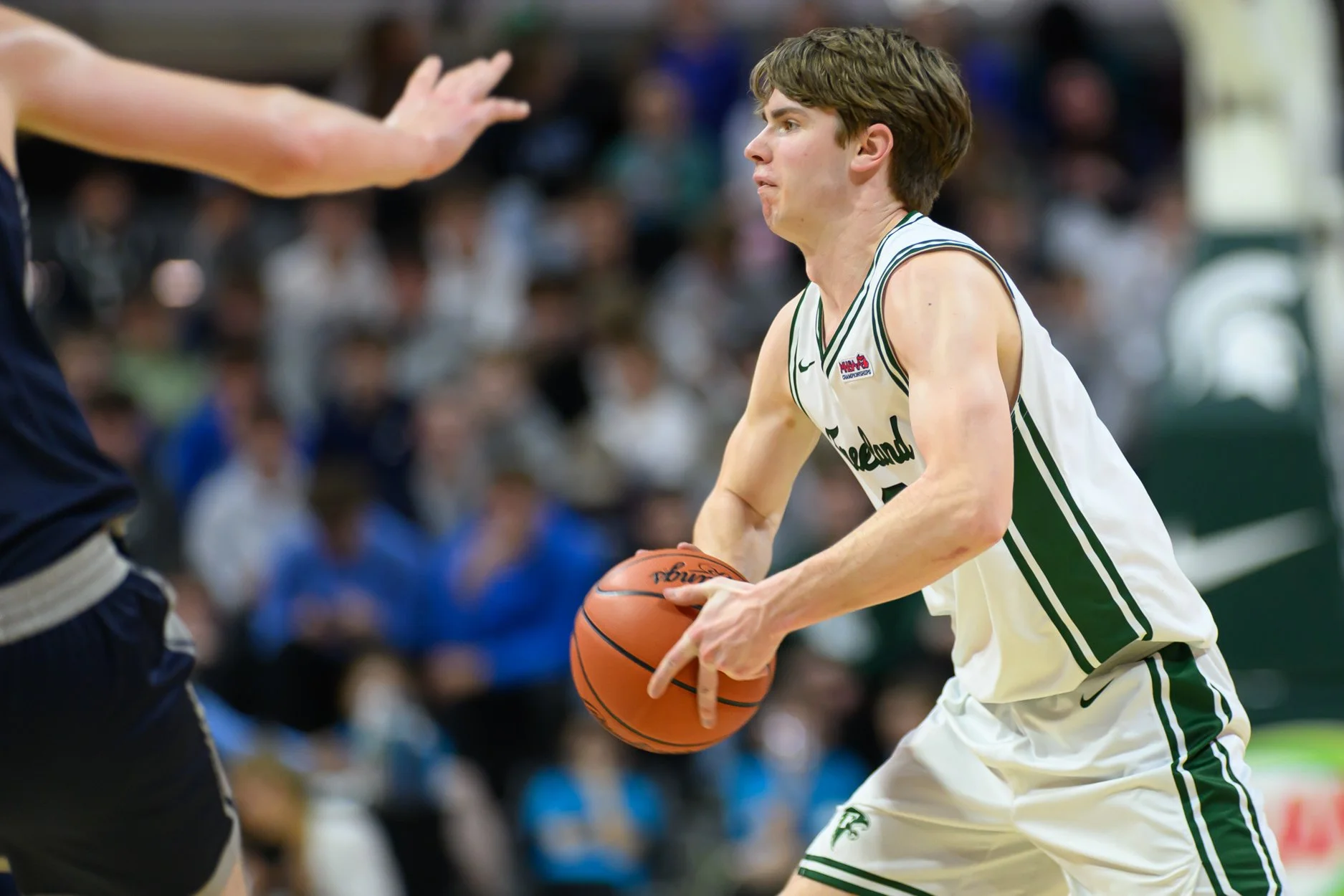 2 LOW RES FREELAND FINAL-7.jpg