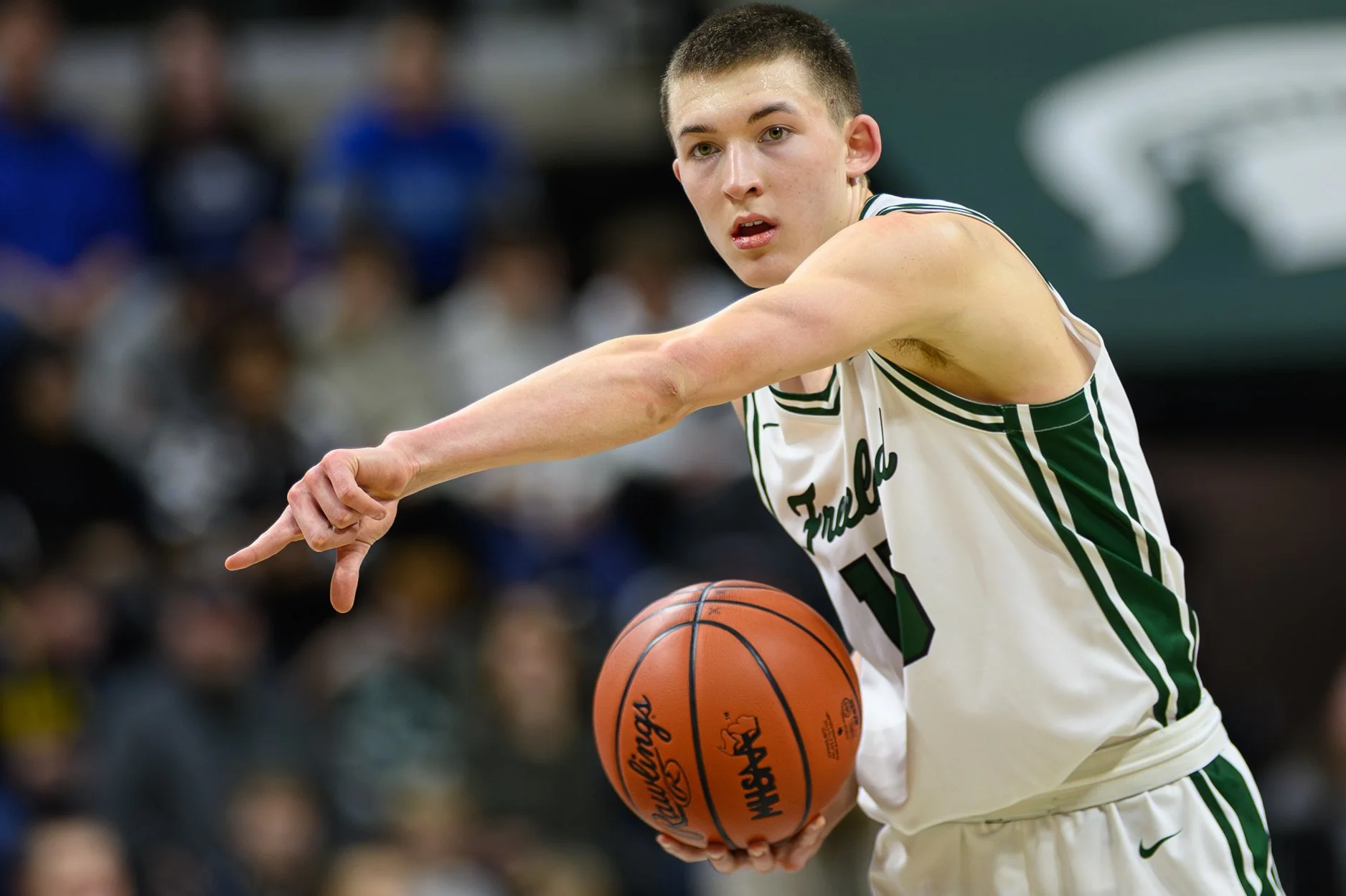 2 LOW RES FREELAND FINAL-8.jpg