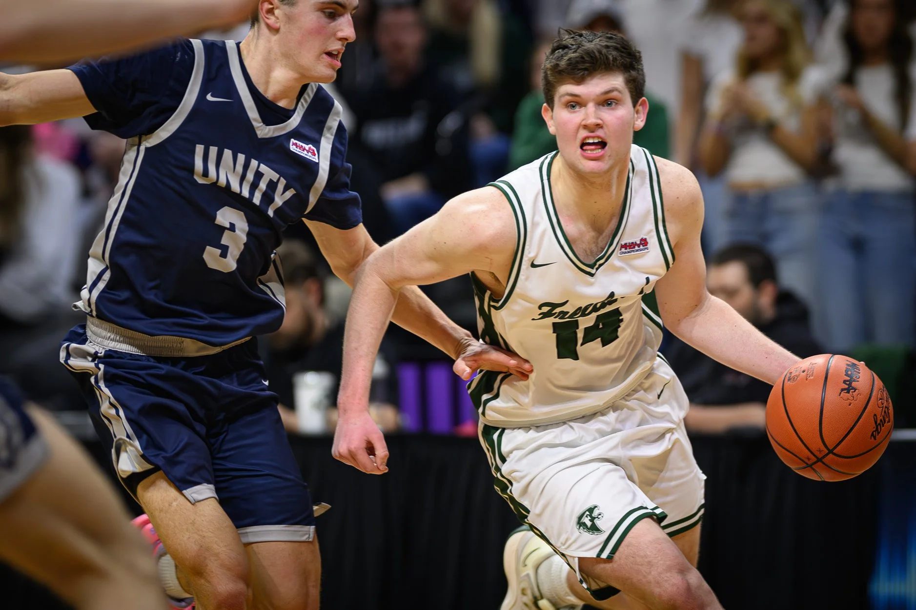 2 LOW RES FREELAND FINAL-15.jpg