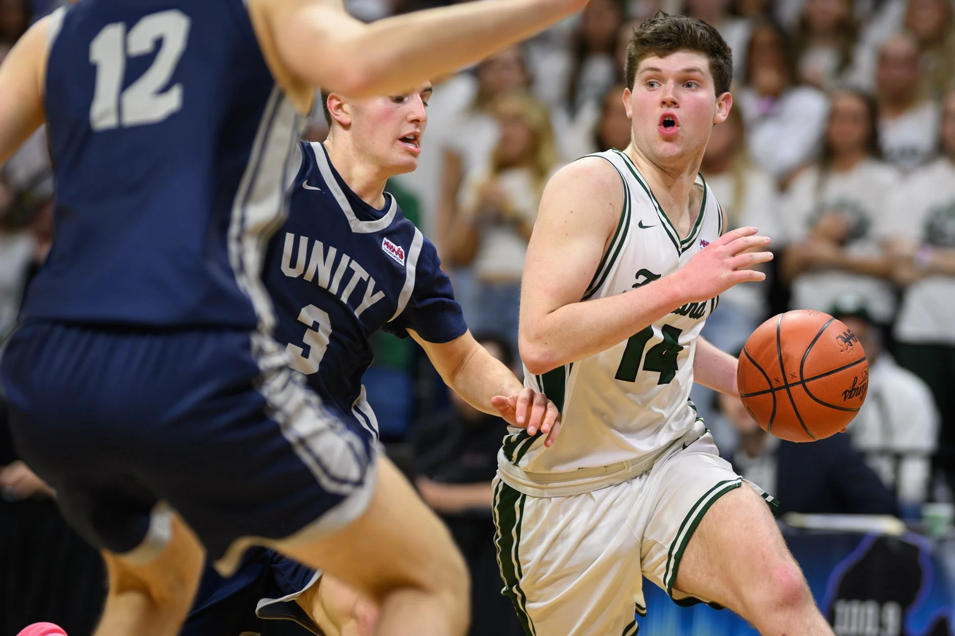 2 LOW RES FREELAND FINAL-16.jpg