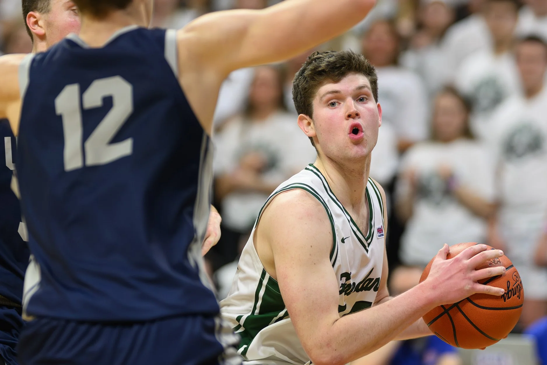 2 LOW RES FREELAND FINAL-17.jpg