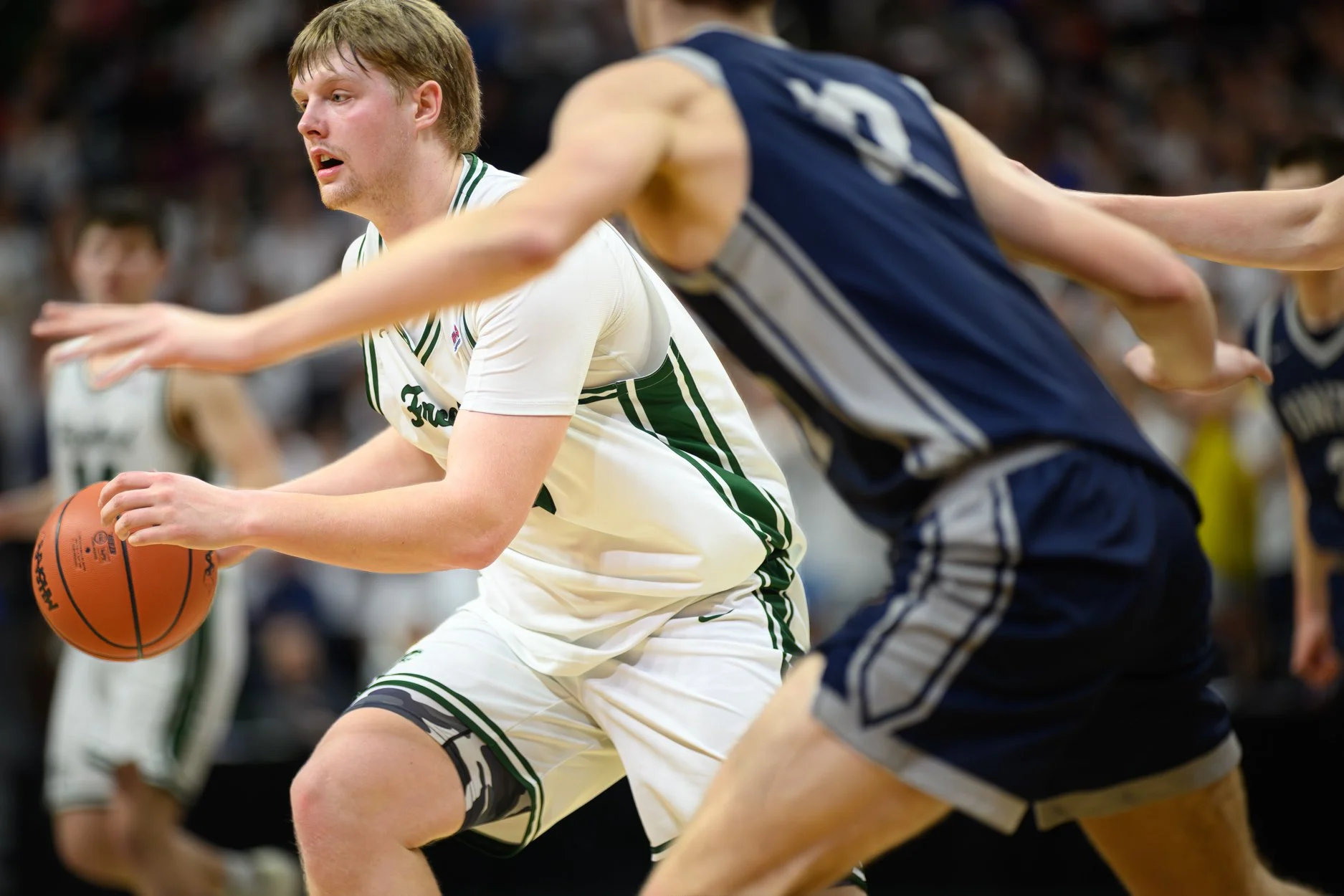 2 LOW RES FREELAND FINAL-19.jpg