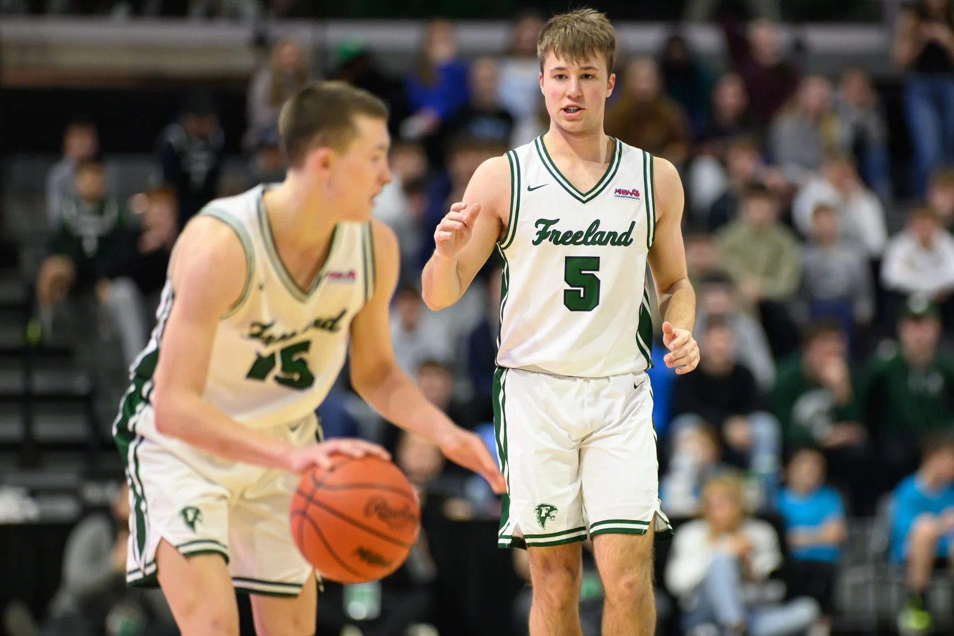 2 LOW RES FREELAND FINAL-22.jpg