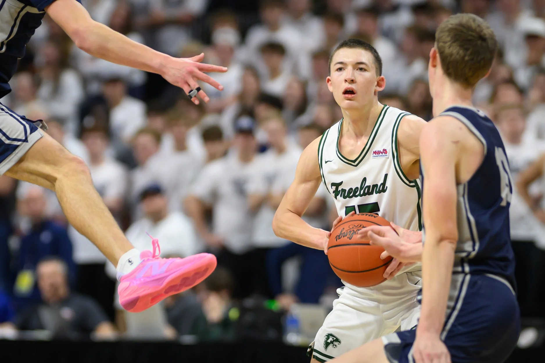 2 LOW RES FREELAND FINAL-25.jpg