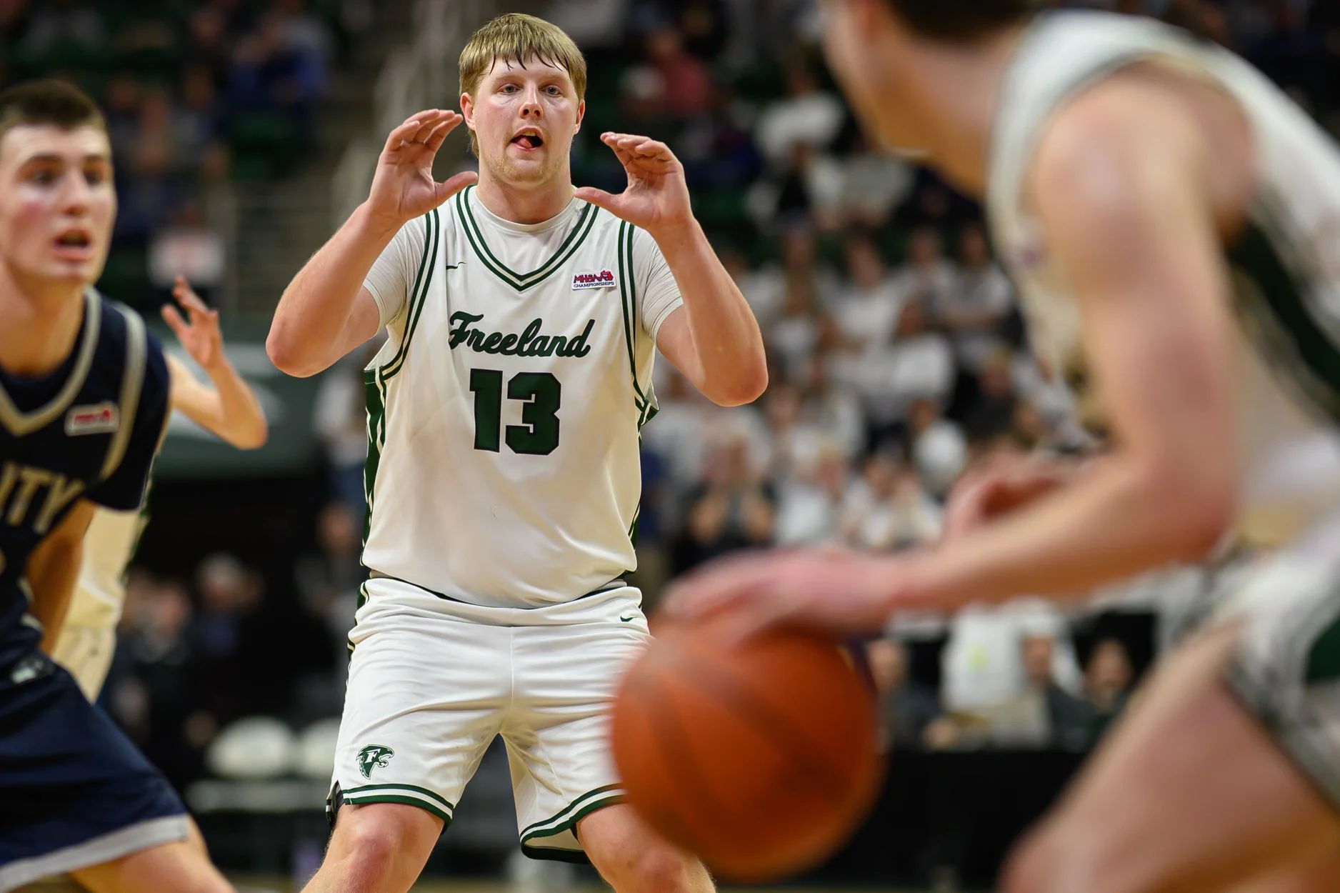 2 LOW RES FREELAND FINAL-27.jpg