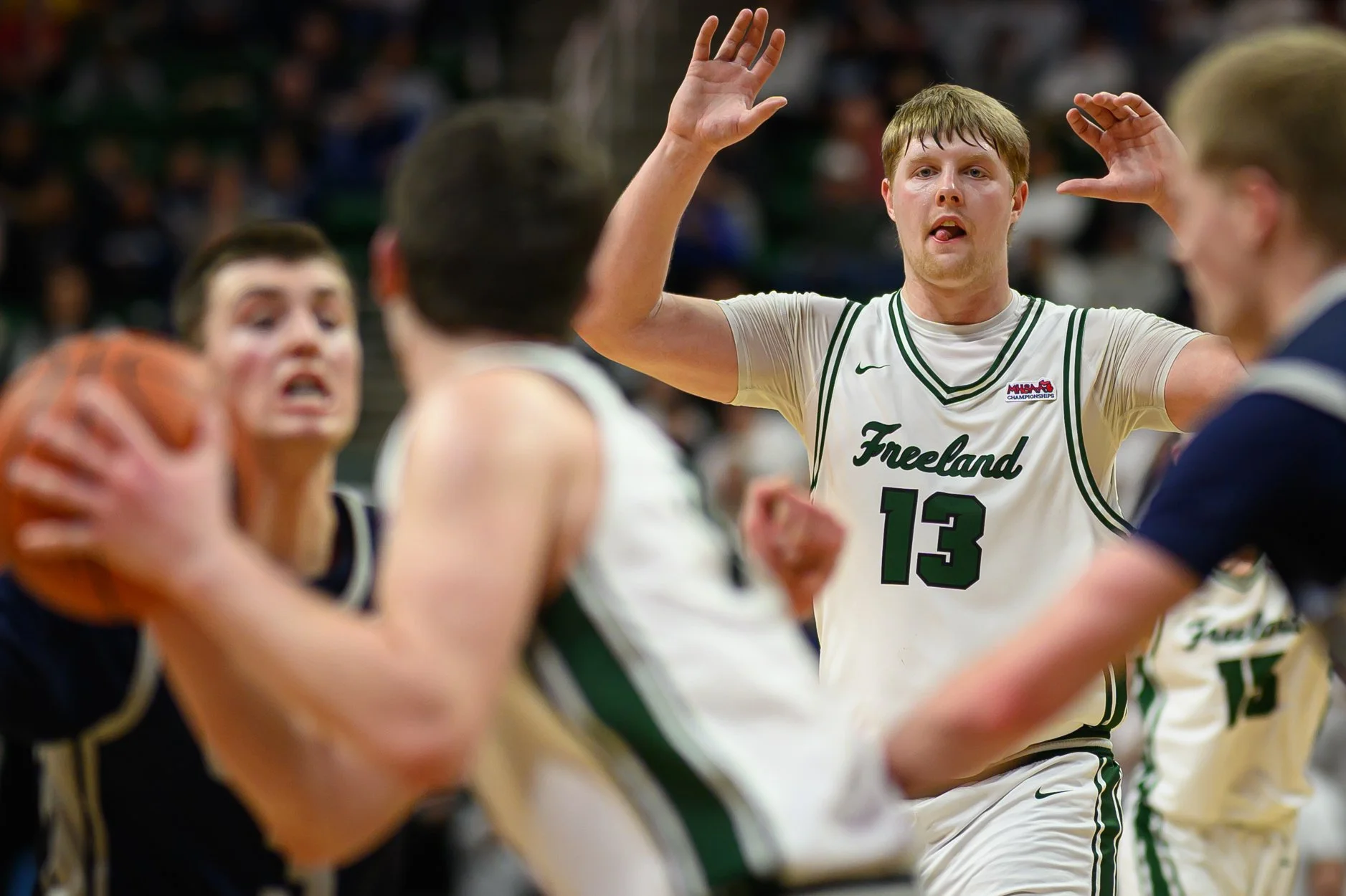 2 LOW RES FREELAND FINAL-28.jpg